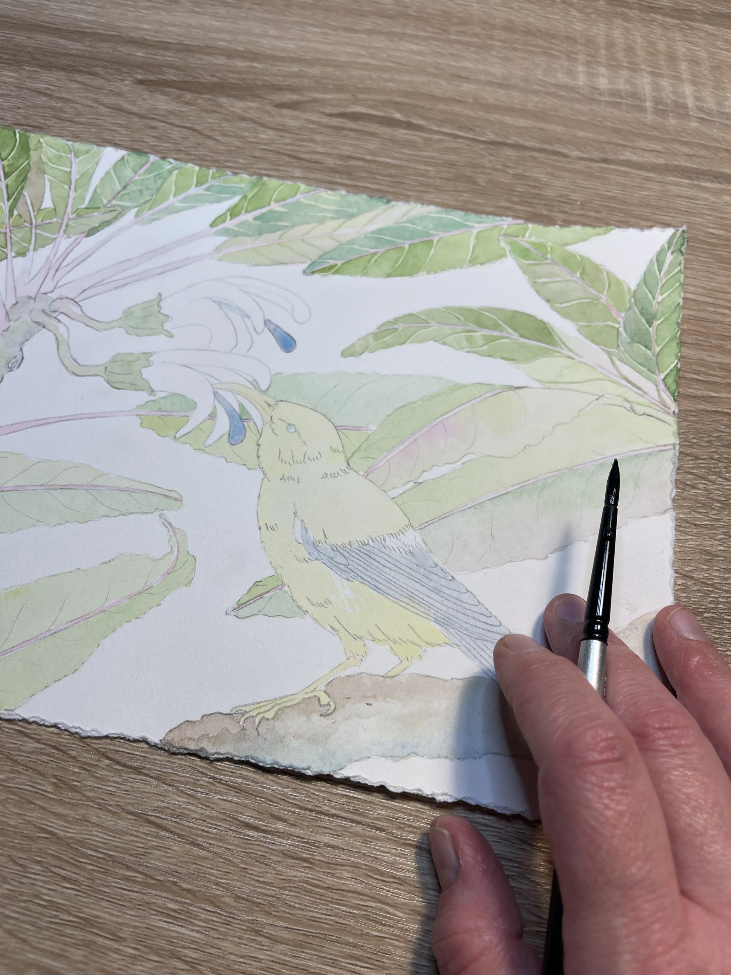 A person drawing a watercolor illustration of a bird on illustrated leaves on textured paper.