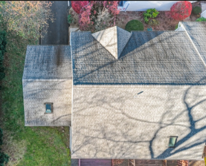 Aerial view of house rooftops and surrounding trees and greenery.