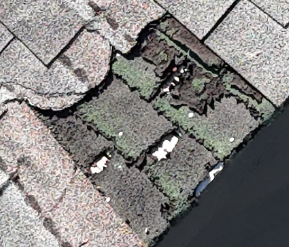 A part of a tiled roof with missing shingles revealing damaged underlayment and some small patches of greenery.