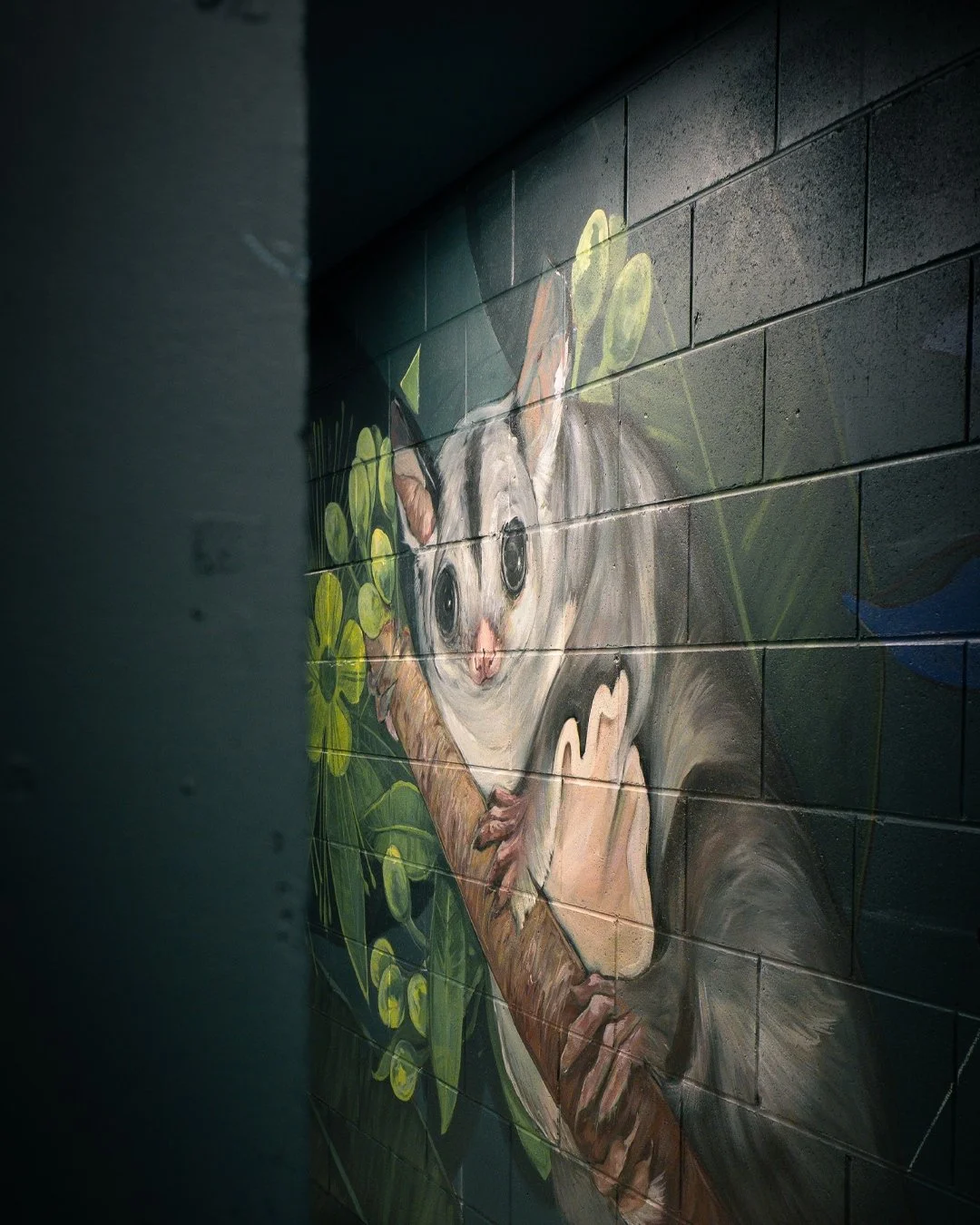 Have you spotted the Hidden Habitats at 51 Fish Lane? 🌿 Tucked into 51 Fish Lane's walls, Ash Taylor&rsquo;s vibrant new mural brings native flora and fauna to life &ndash; from Sacred Kingfishers to Squirrel Gliders. 🦜✨ A little laneway secret, wa