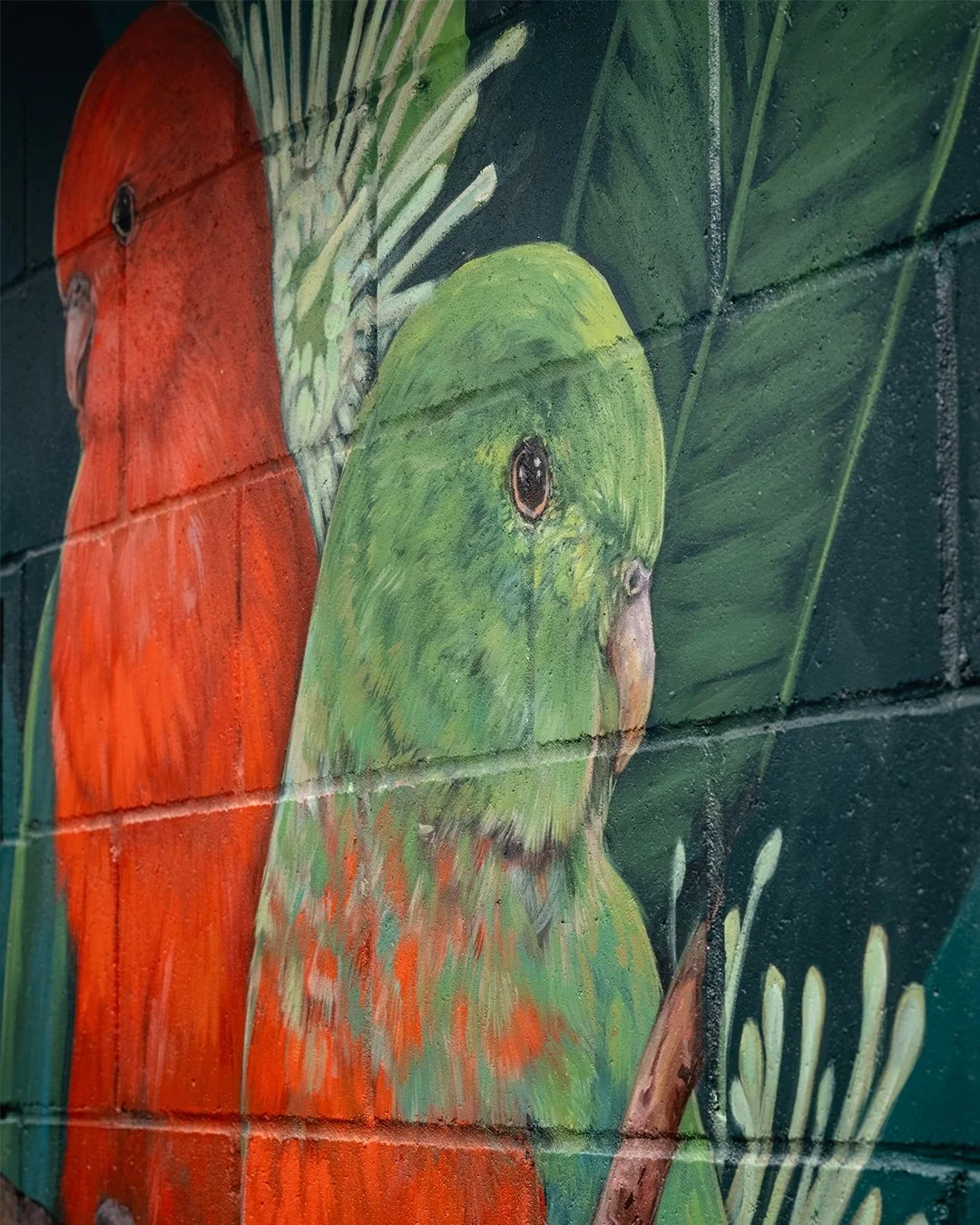 I spy with my little eye,
King Parrots resting under sky.
Hidden Habitats &mdash; art that sings,
By Ash Taylor, where nature clings.