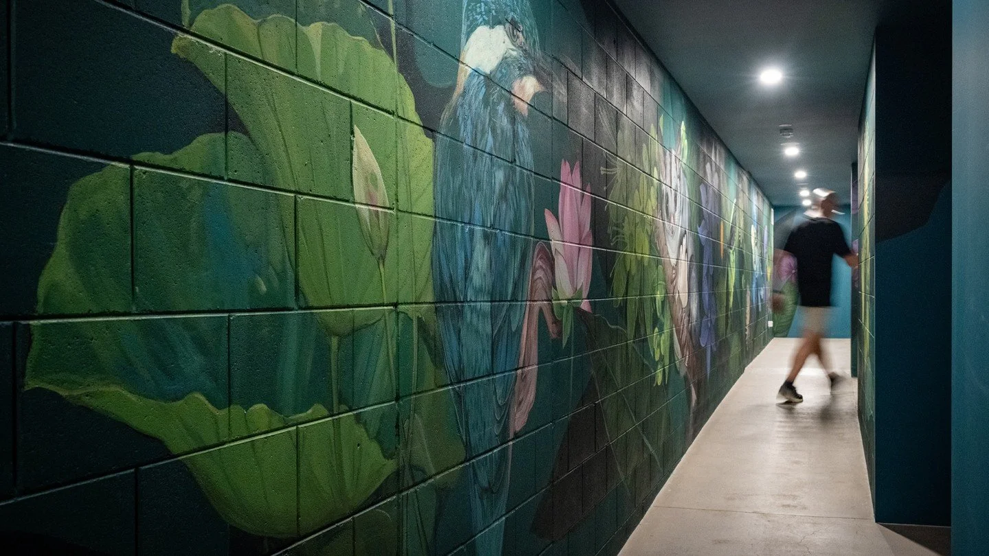 Hidden Habitats by Ash Taylor brings the walls of 51 Fish Lane to life. 🌿🦜Native flora and fauna weave through the artwork, adding another layer of colour and creativity to the ever-evolving character of the lane.