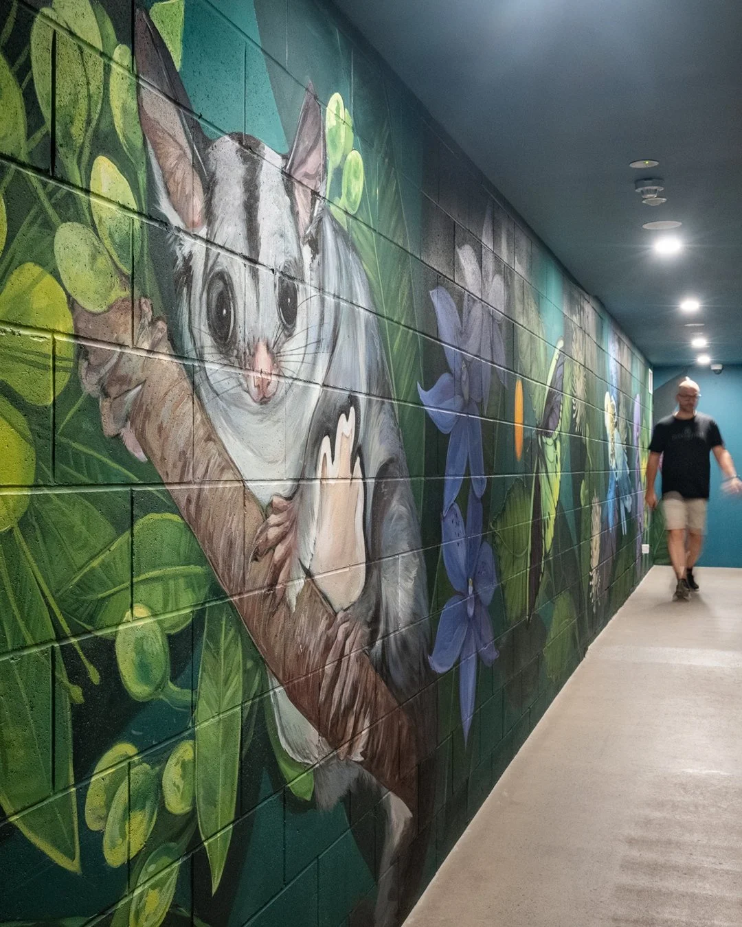 Hidden Habitats by Ash Taylor brings a closer look at the wild. 🌿✨ This sugarglider, captured in fine detail, adds another layer to Fish Lane's evolving art scene.