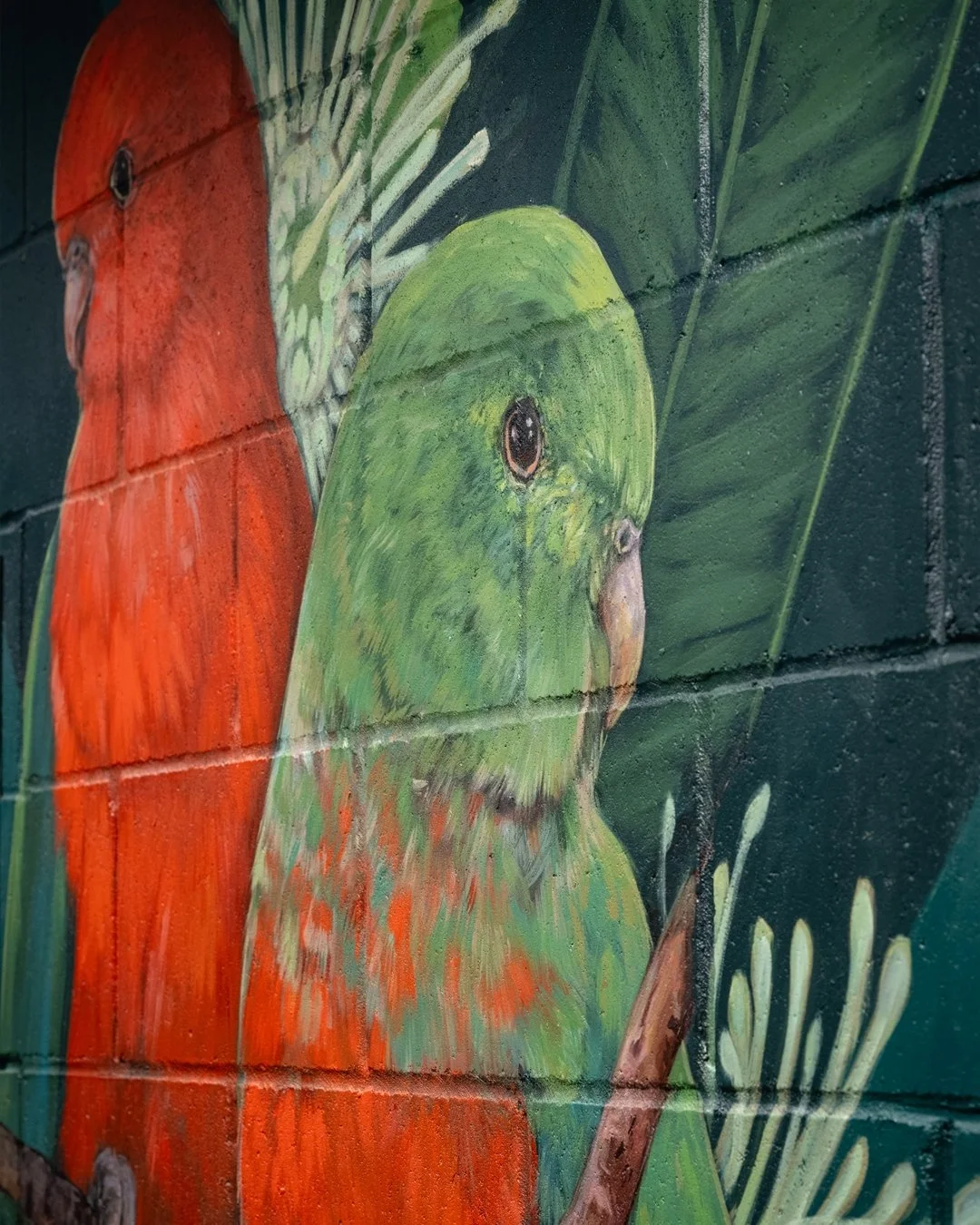 A little colour.
A little chaos.
A lot to look at.

Hidden Habitats by Ash Taylor on Fish Lane. 🦜