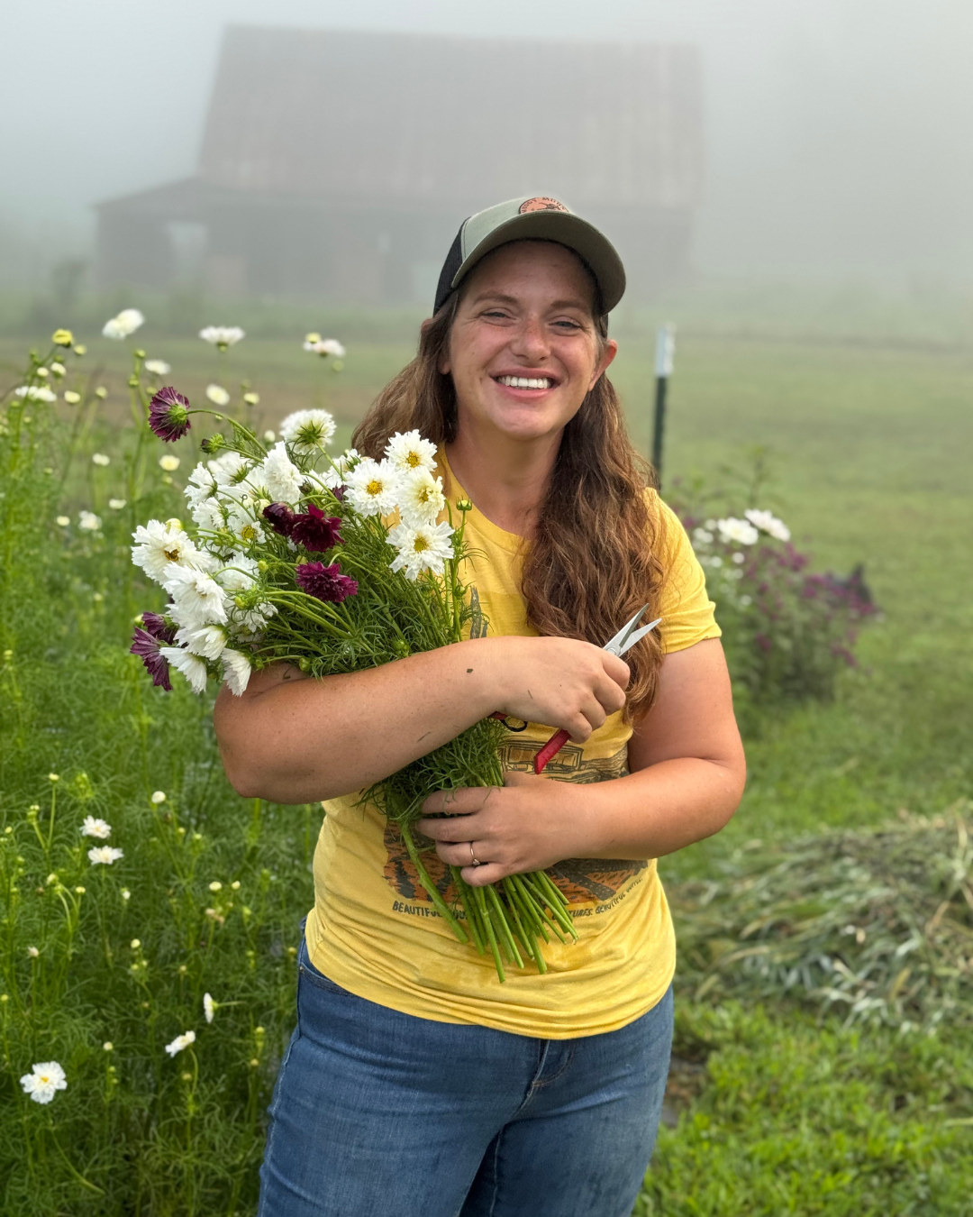 cosmos flower picking muddy mountain flower farm.png