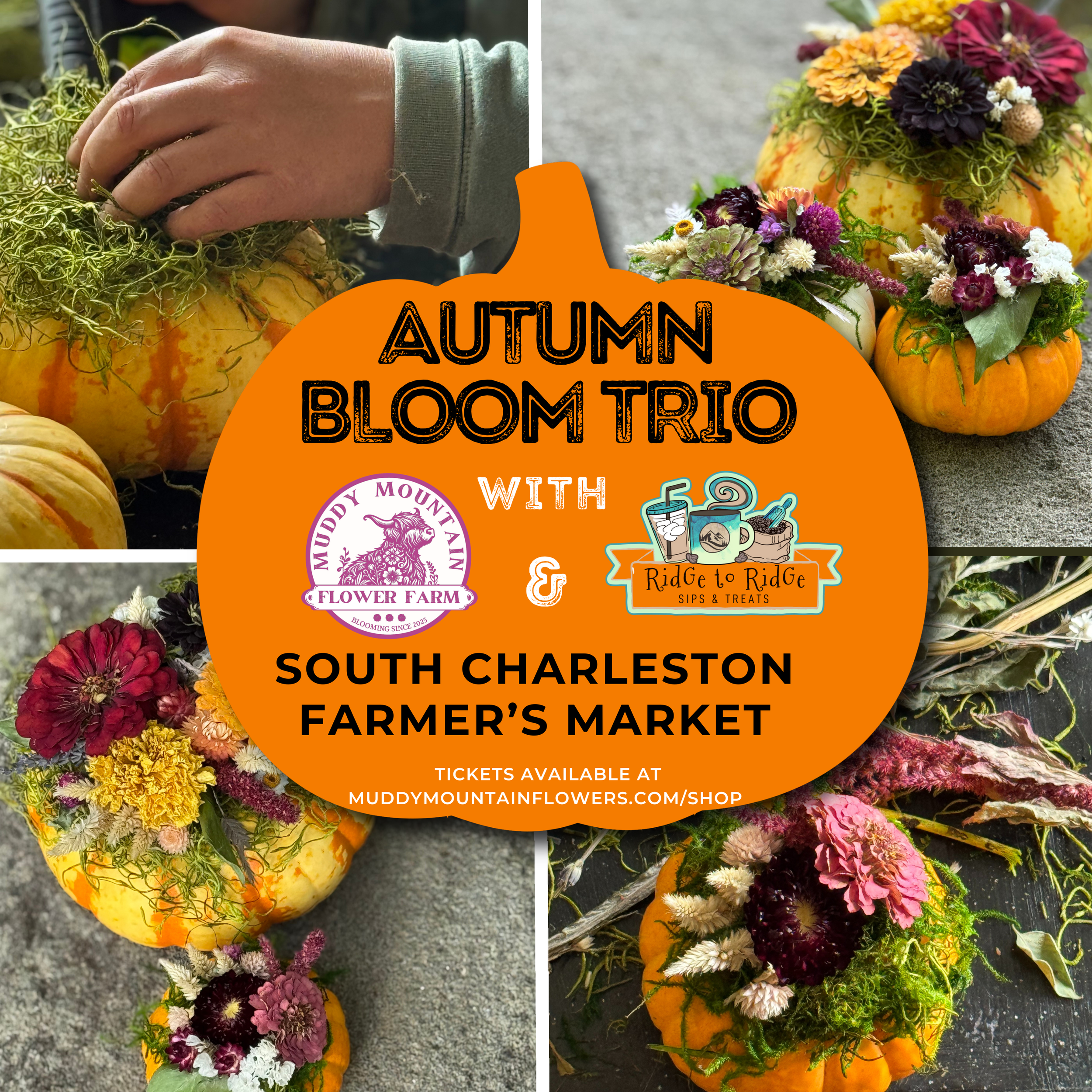 Autumn Bloom Trio