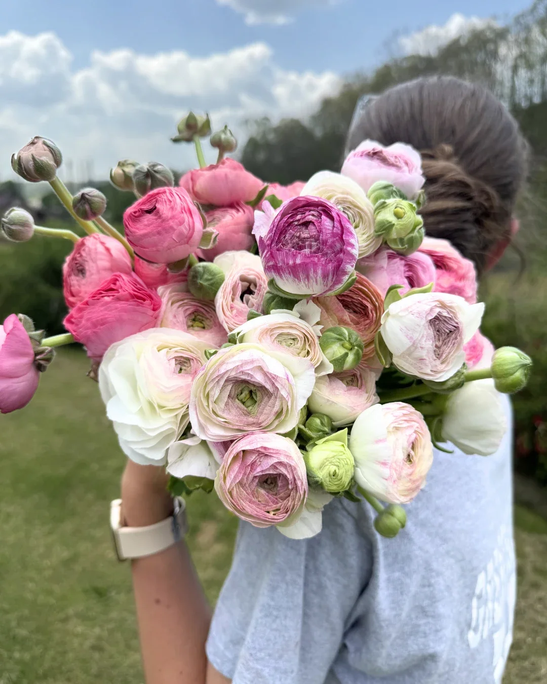mm-bloom-club-spring-ranunculus.webp