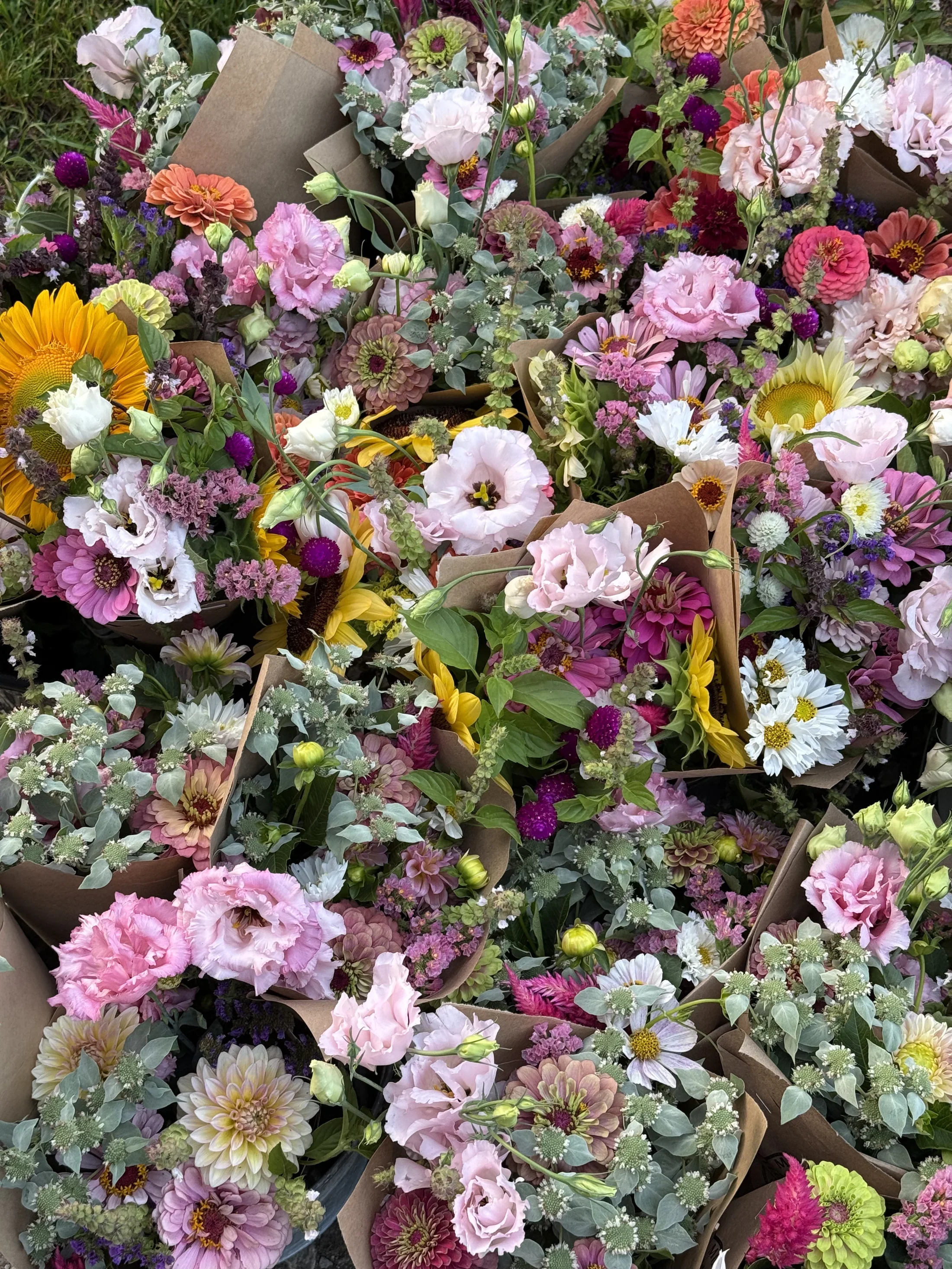 The Whole Bloomin' Thing