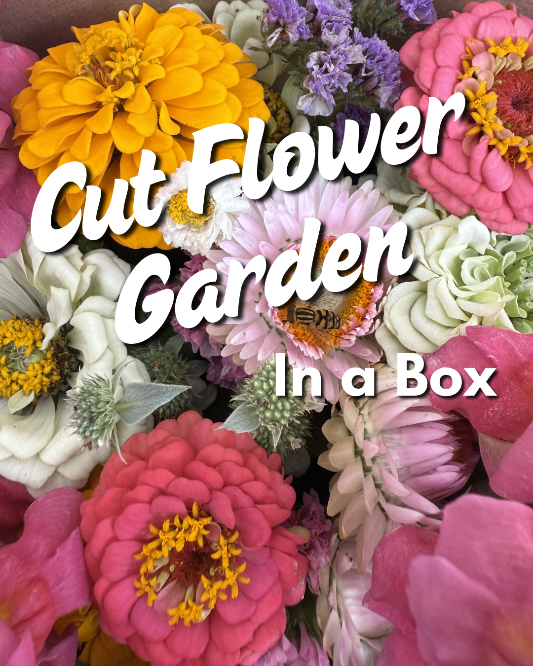 2026 Summer Cutting Garden Collection