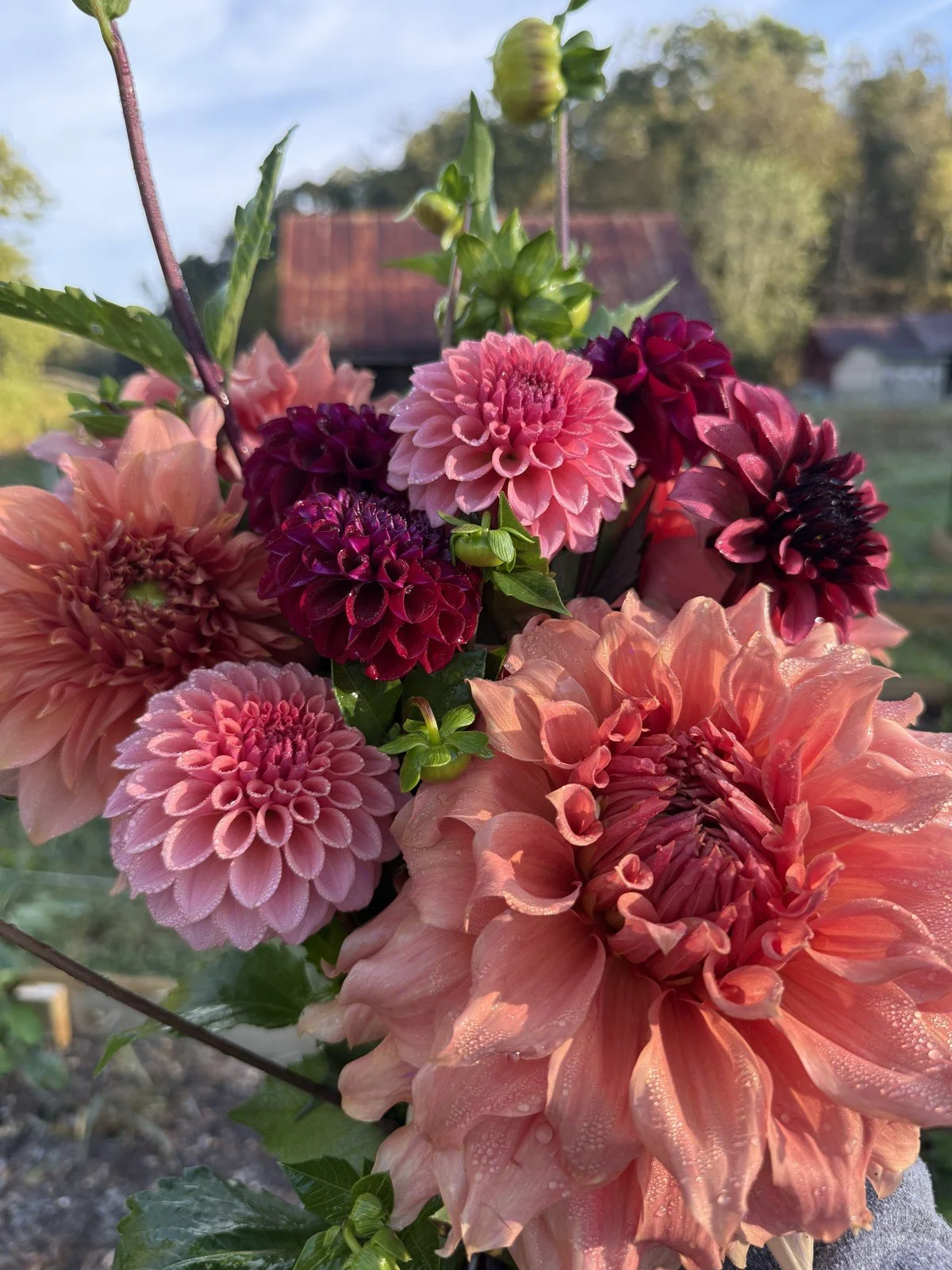 Fall Bloom Club
