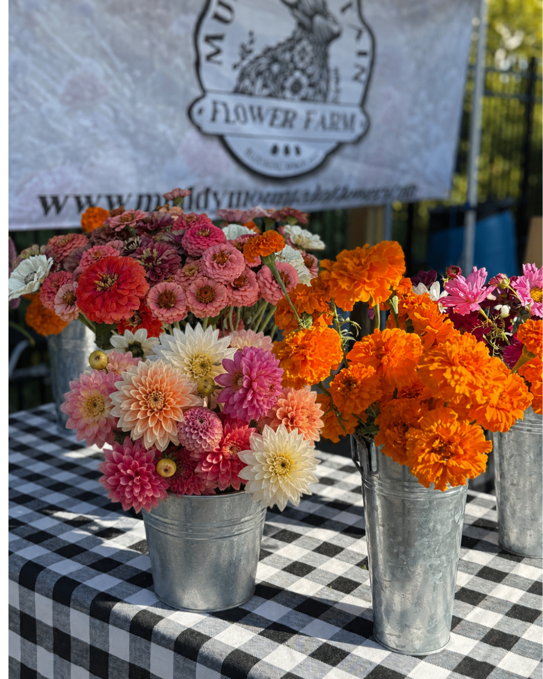 Blooms, Brews & Bites: A Dahlia Bouquet Bar | October 3