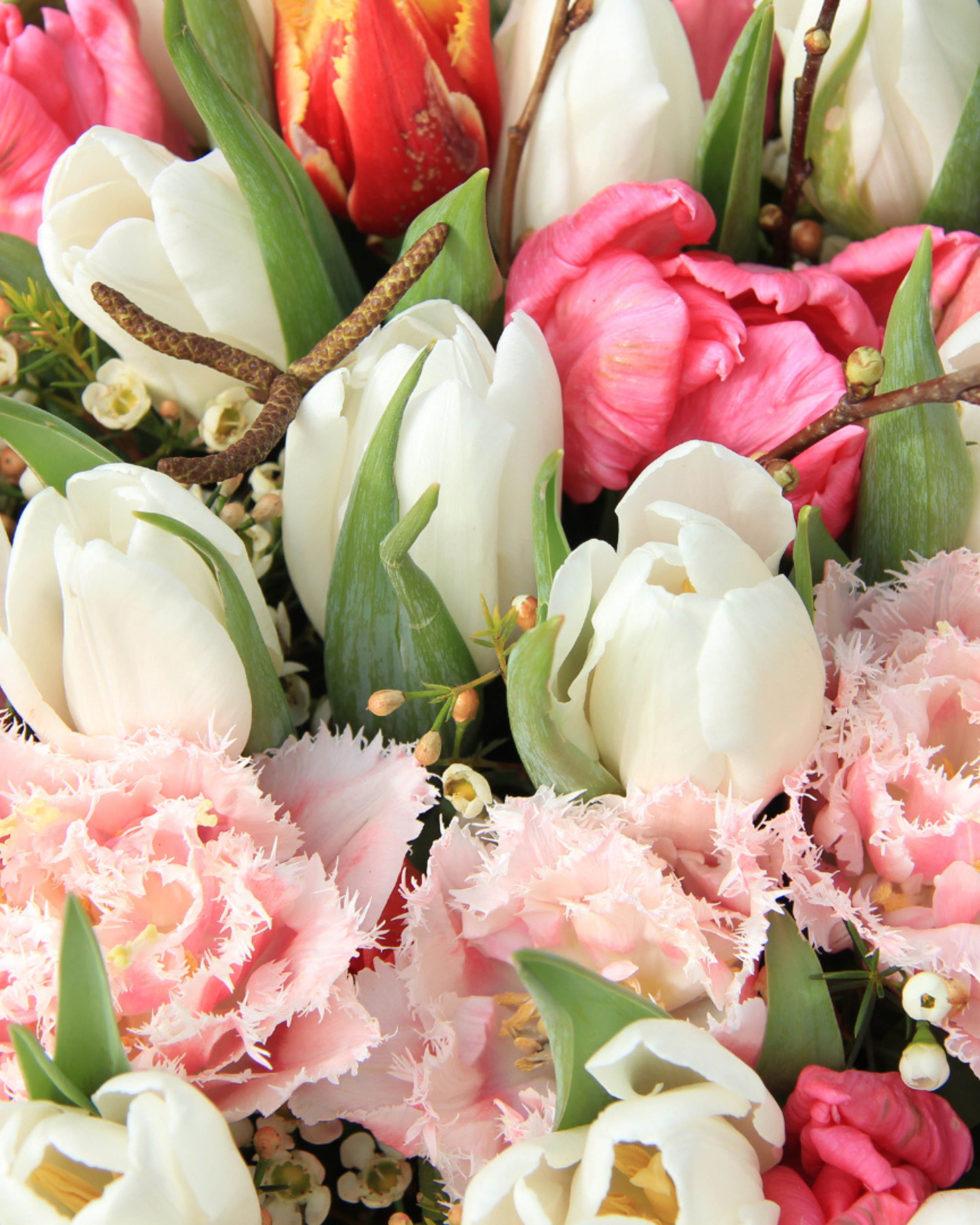 🌷 6-Week Spring Flower Subscription - 2026