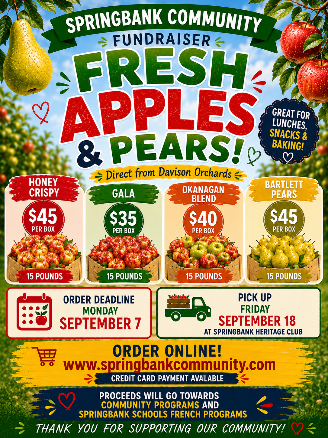 Apples Are Here! / Les pommes sont arrivées!