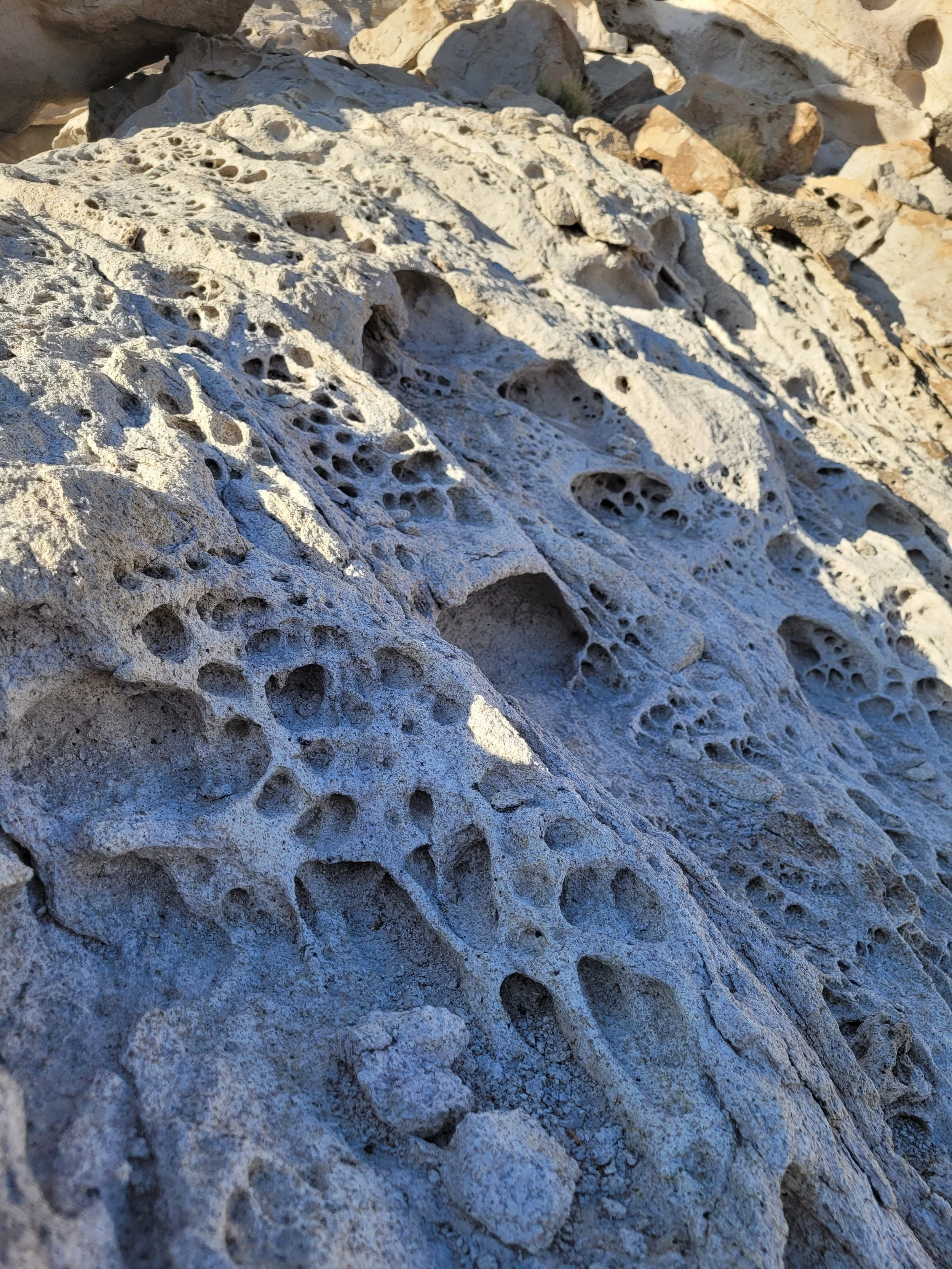 These rocks reminded me of dragon's skin or that of a desert beast, turned to rock and preserved through time
