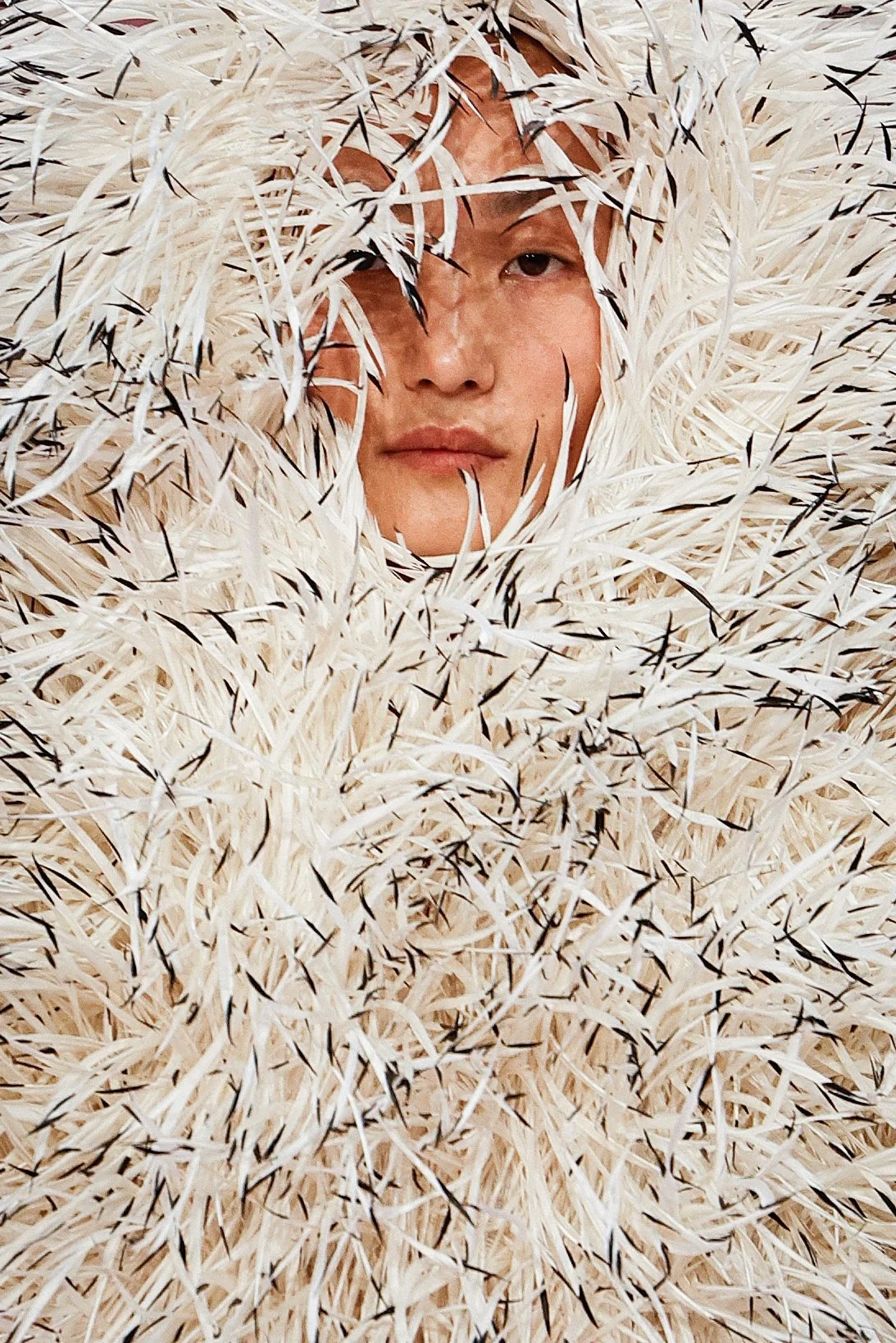 GettyImages-2257896902 (1).jpg