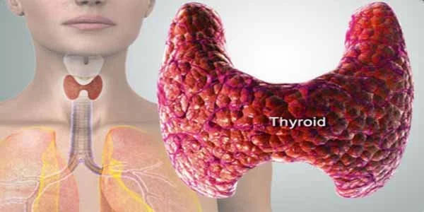 5 Ways to Nourish your Thyroid