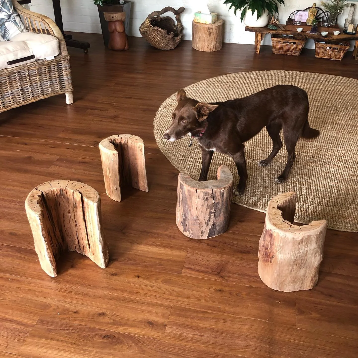 Tomorrow night we are hosting our first (hopefully monthly) yoni steaming circle. Come &amp; gather with other women &amp; chat &amp; receive while steaming. Bonita &amp; I will be co-facilitating. It is held in Cooroy between 5:30-7pm. $50pp. There 