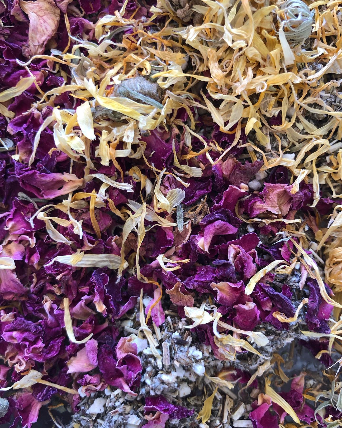 Our first womb steam of 2026 is tonight 🌿 Such a lovely group gathering already. If you would like to join us it is 5:30-7:30pm in Cooroy. $50pp. A meditation &amp; sharing circle with plenty of space to be &amp; steam in silence, while with other w