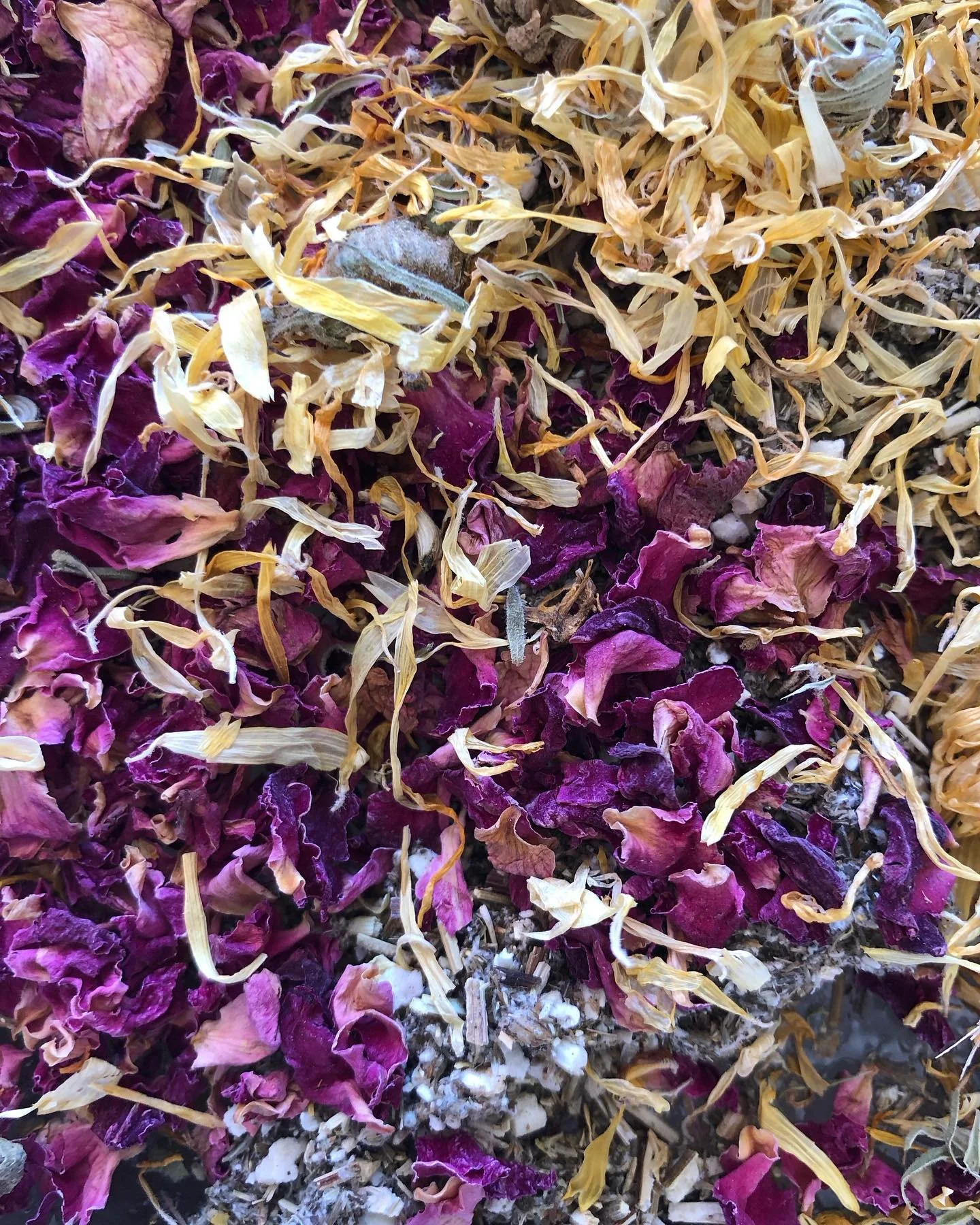 Our first womb steam of 2026 is tonight 🌿 Such a lovely group gathering already. If you would like to join us it is 5:30-7:30pm in Cooroy. $50pp. A meditation &amp; sharing circle with plenty of space to be &amp; steam in silence, while with other w