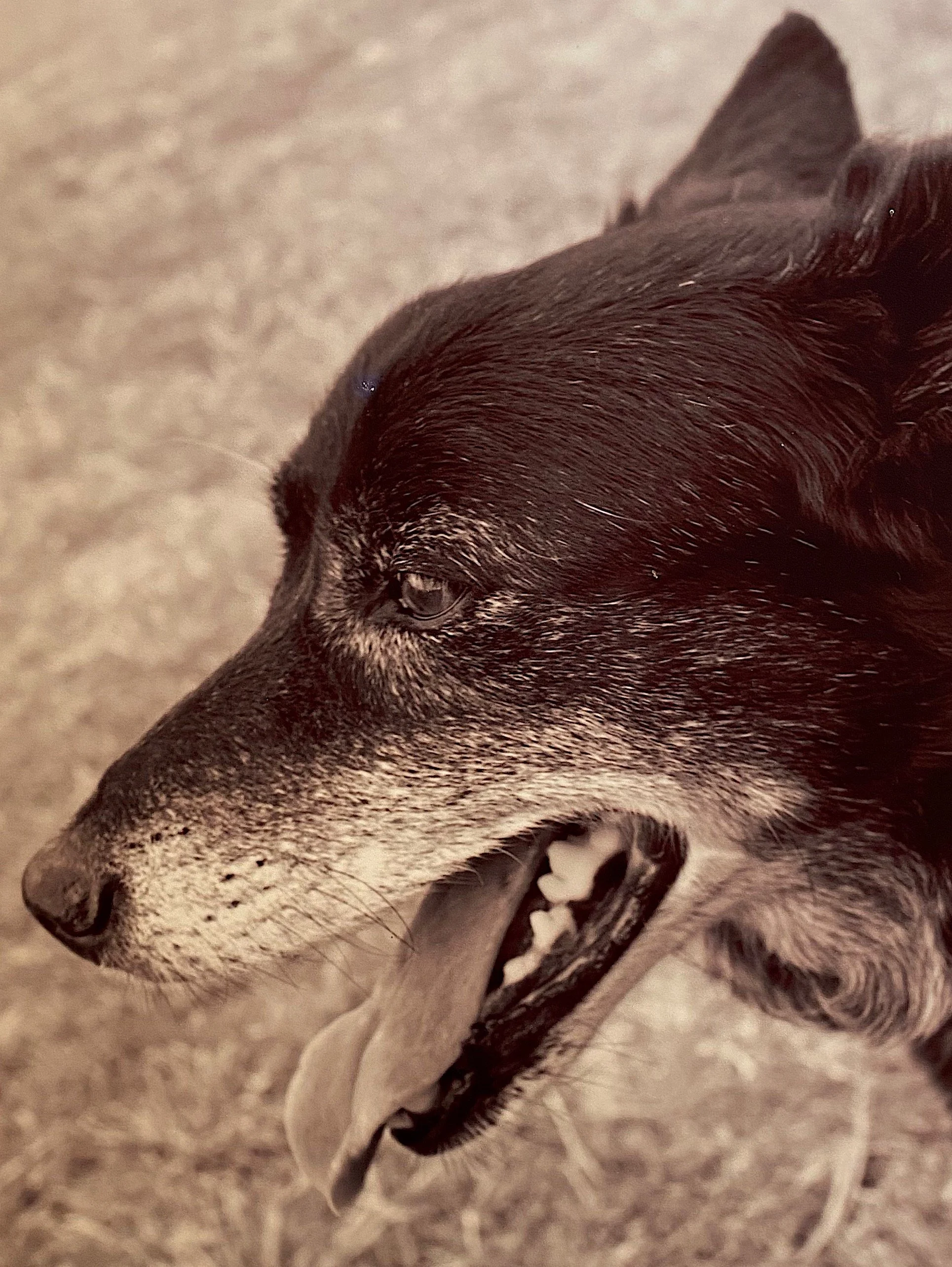 A Special Partnership