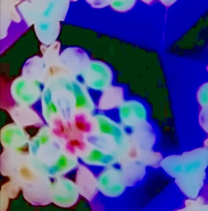 In My Dreams by Union Ghosts