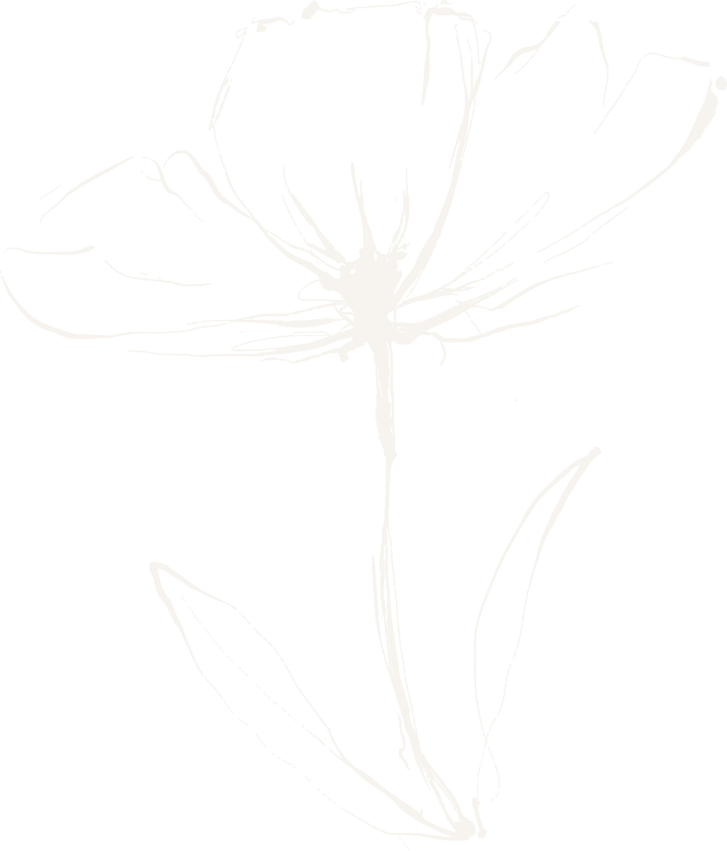 A black and white illustration of a plant with a single stem, large leaves, and a flower at the top.