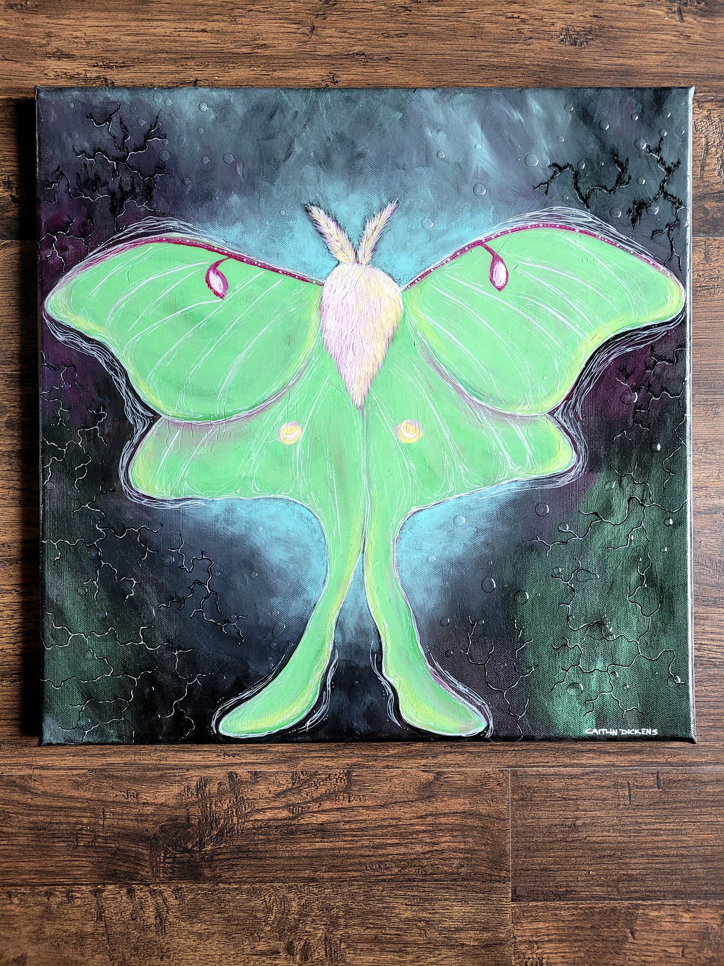 I Dream the Lights Go Out