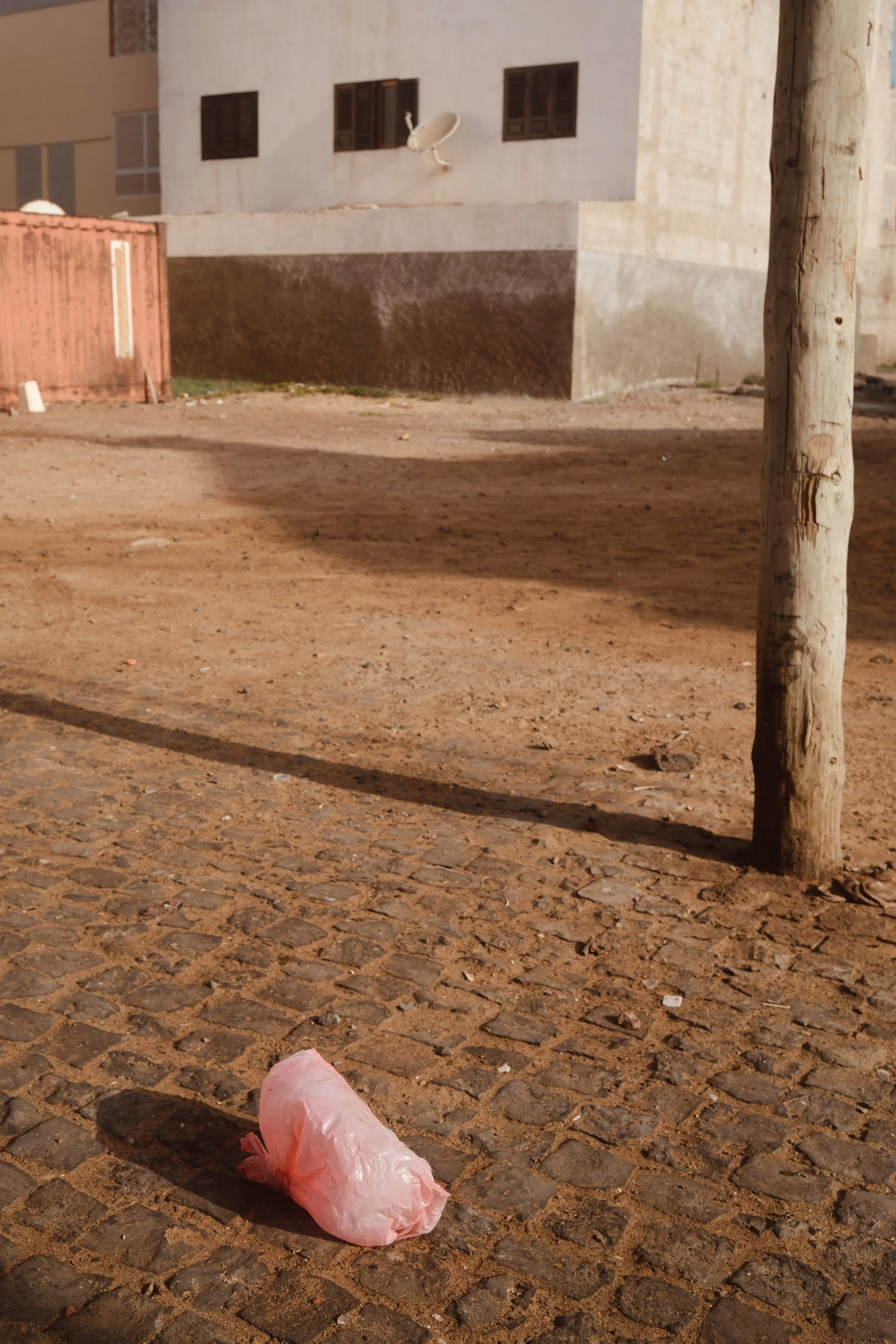 _DSF5313.jpeg