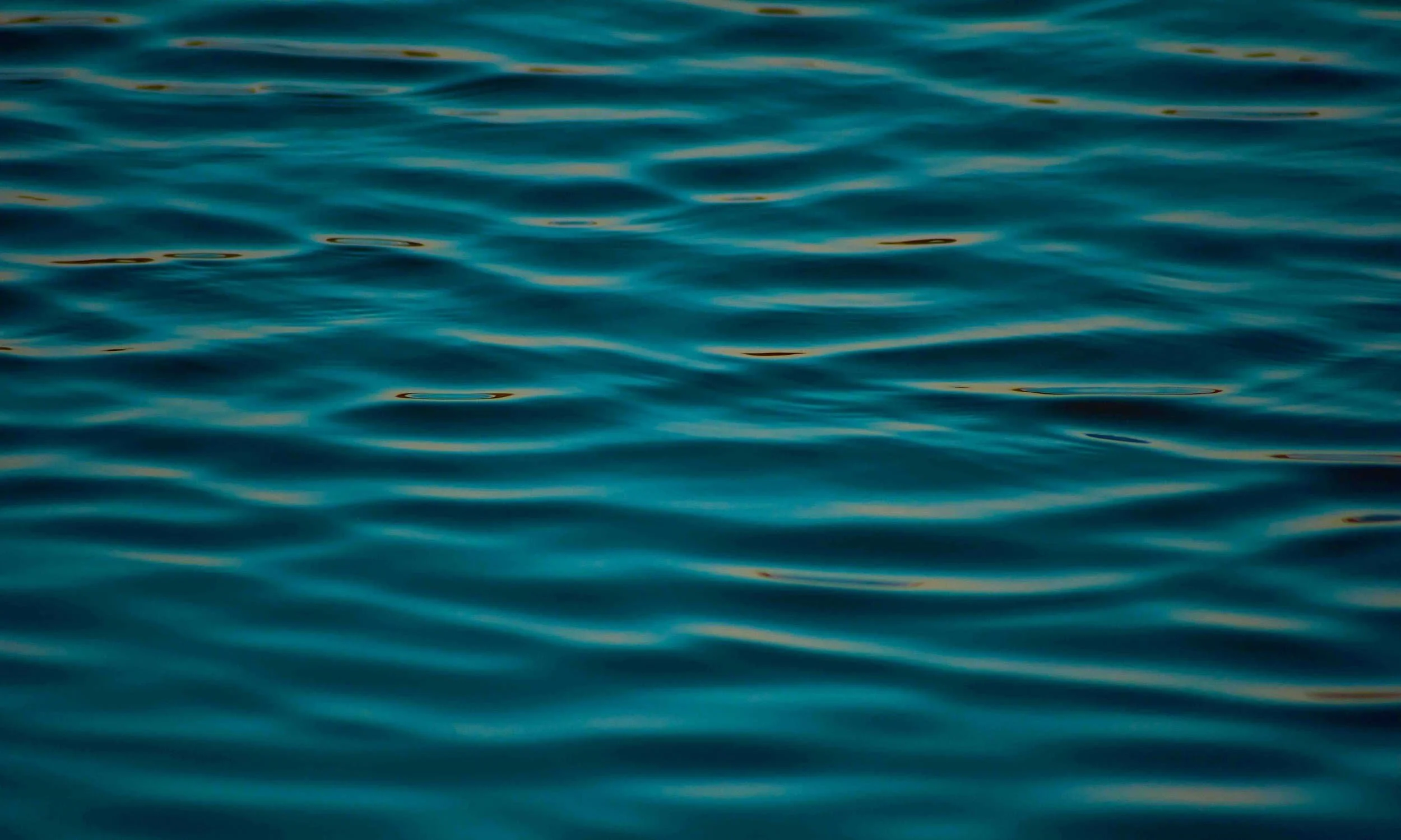 Calm blue ocean water with gentle ripples reflecting sunlight.