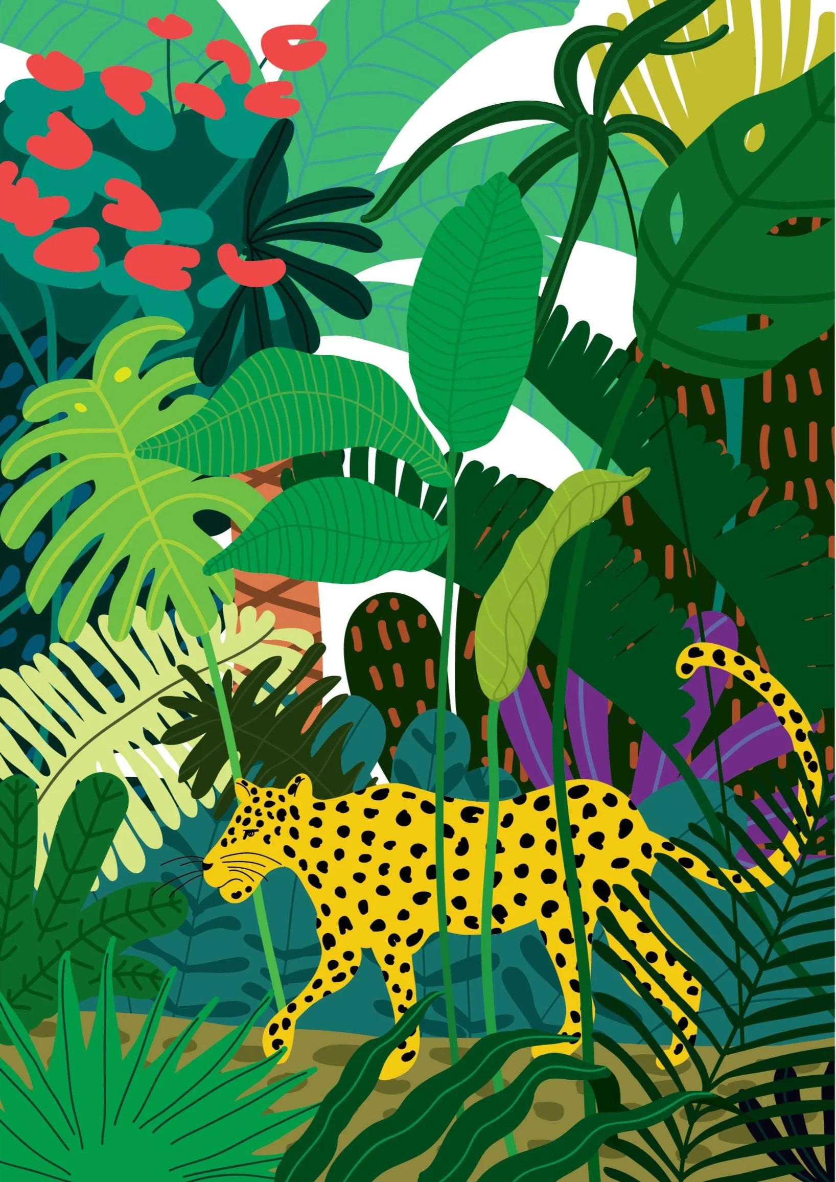 leopard.jpg