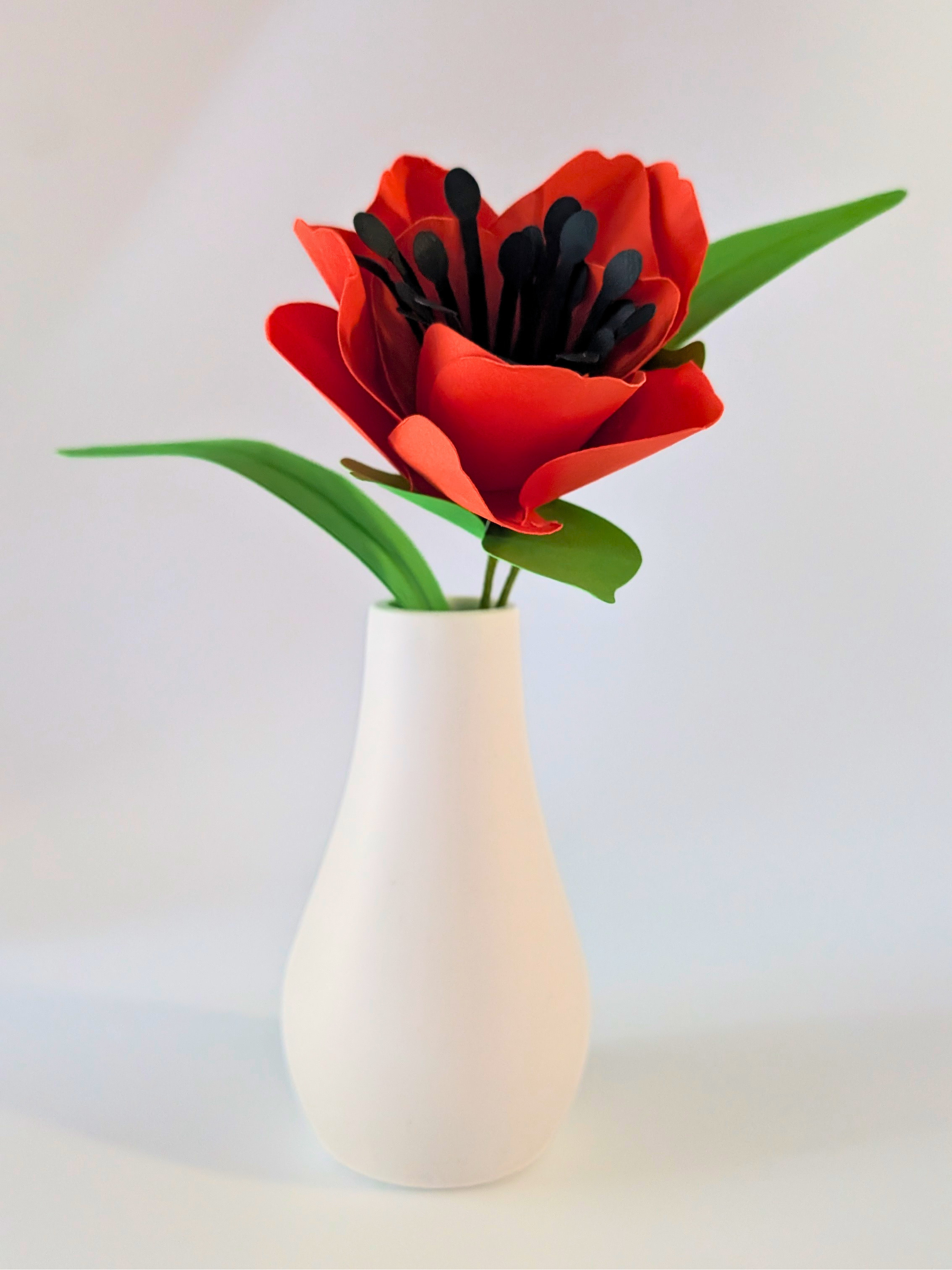 tppc-pop-tulip-persimmon-4.png