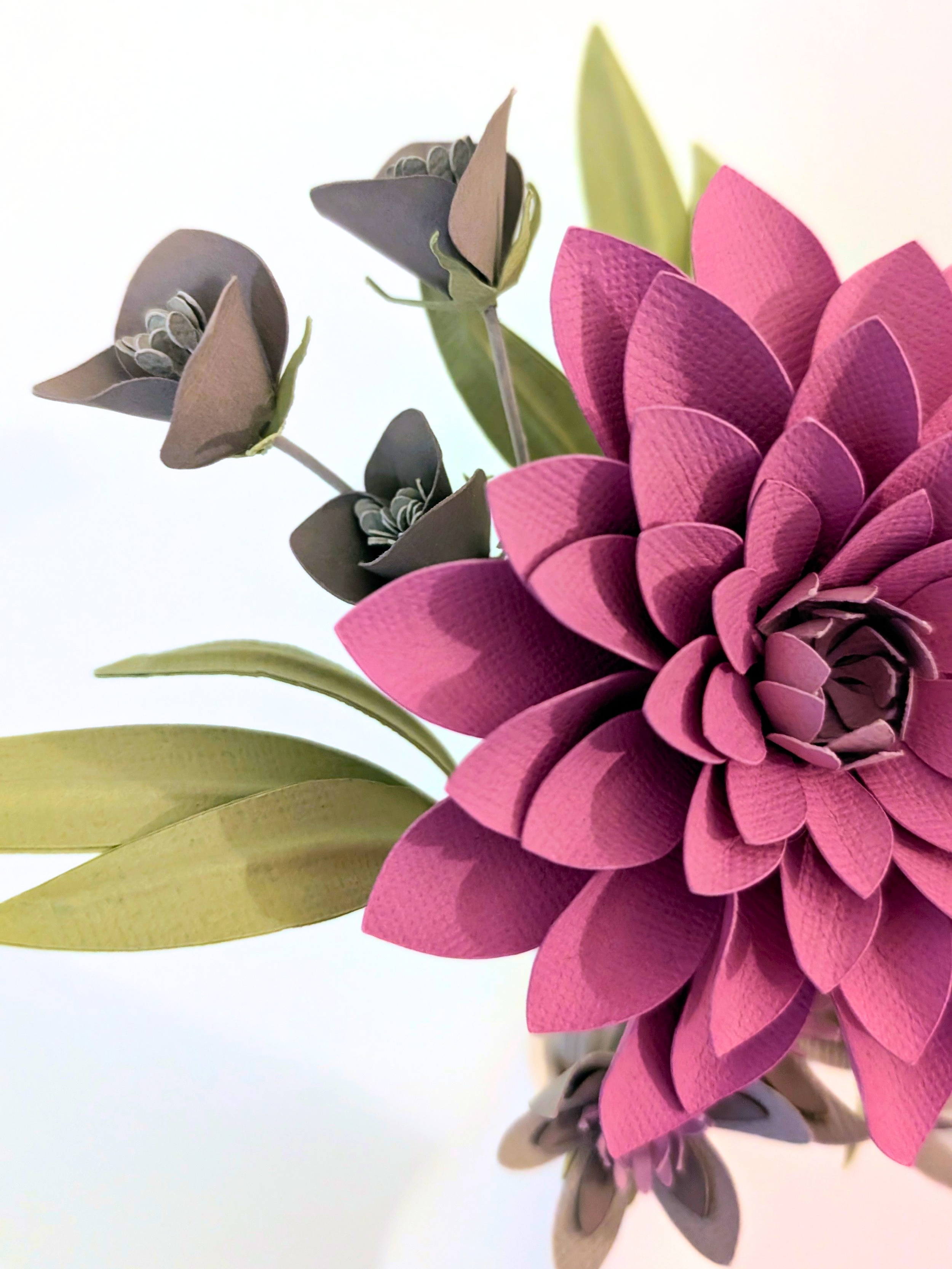 Dahlia2.png