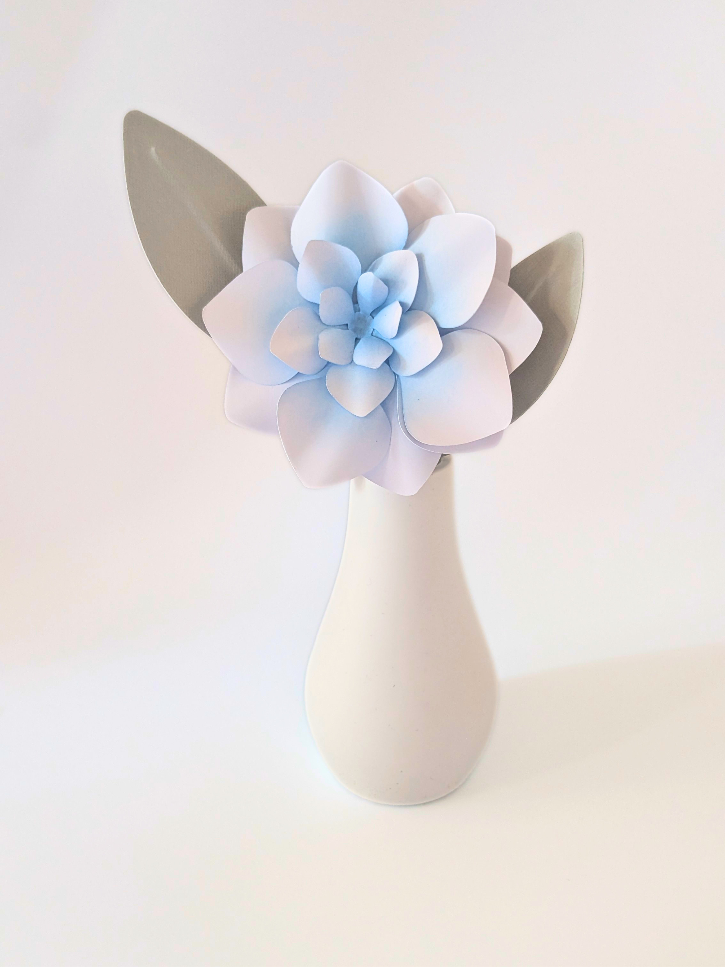 tppc-pop-gardenia-daydream-3.png