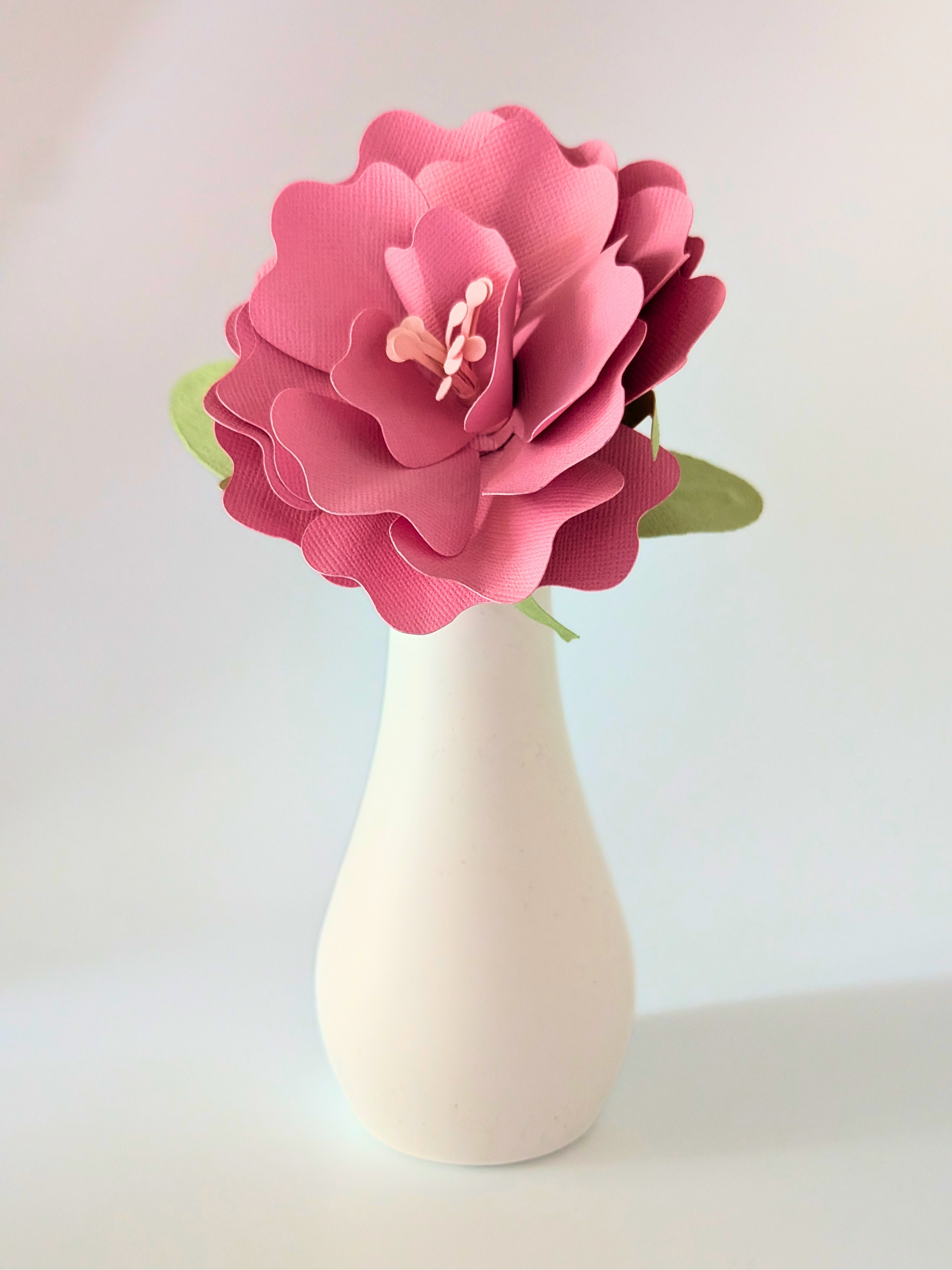 tppc-pop-ruffled-rose-pop-pink-1.png