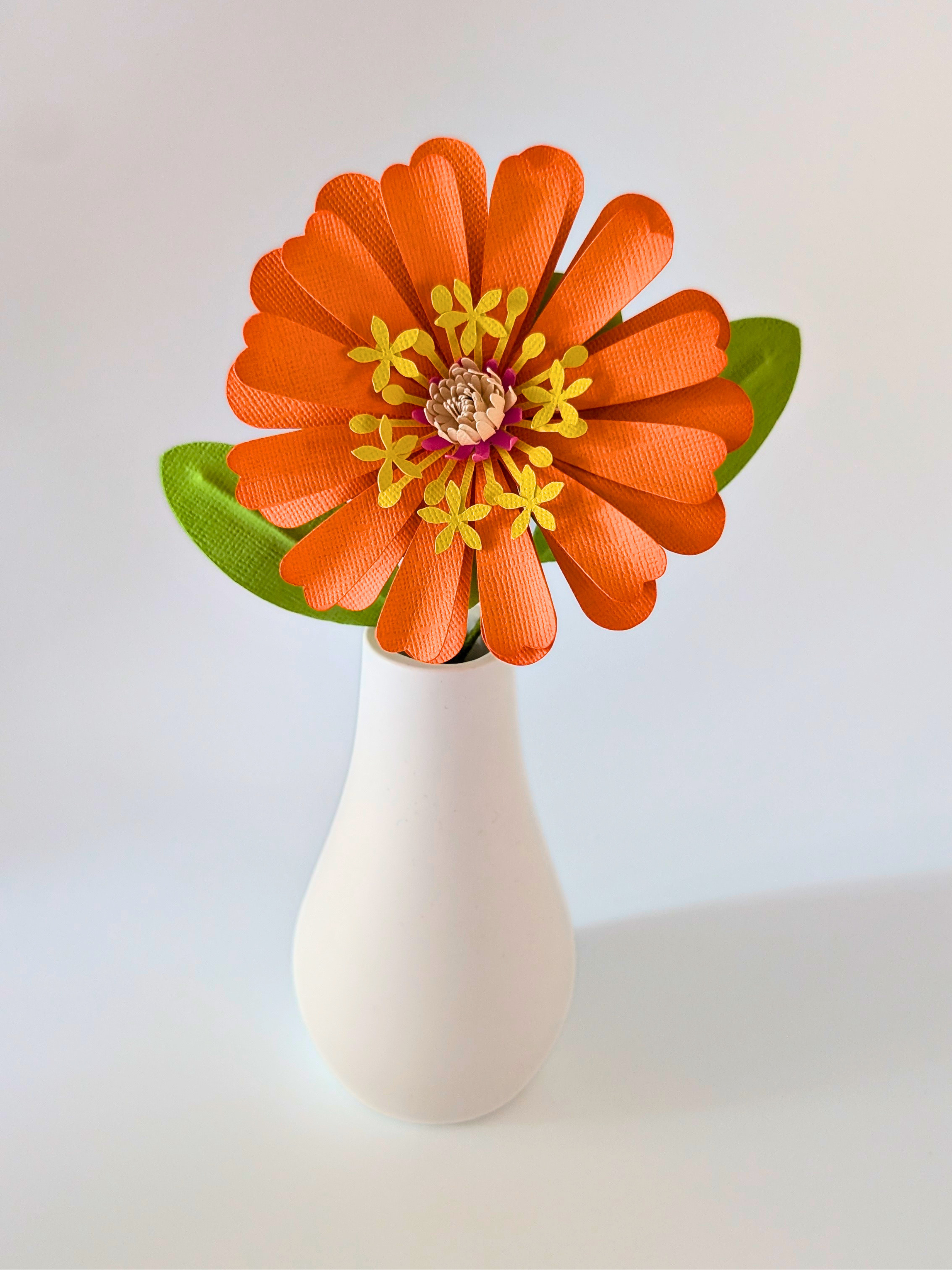 tppc-pop-zinnia-wild-tangerine-2.png