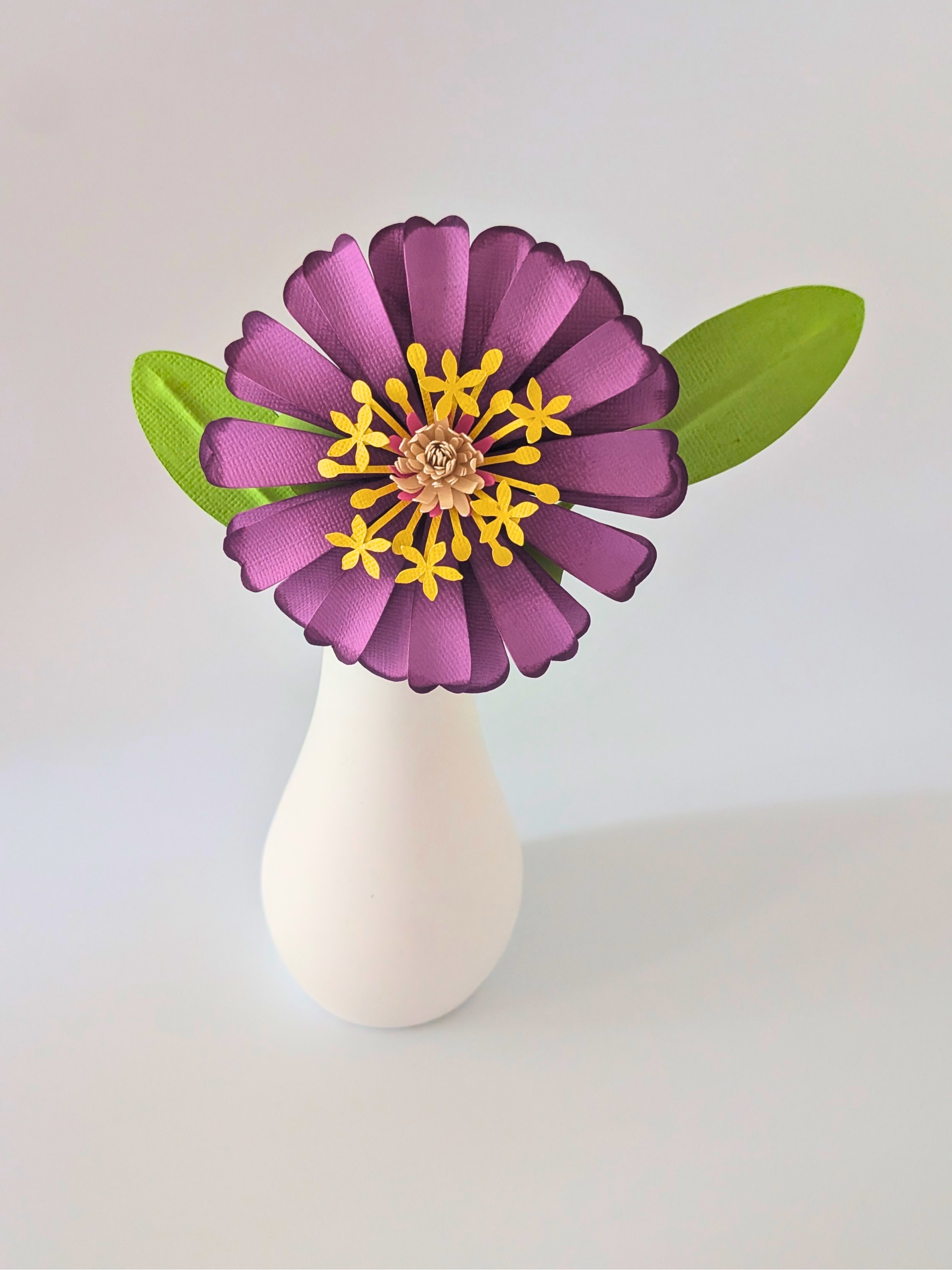 tppc-pop-zinnia-wild-amethyst-2.png