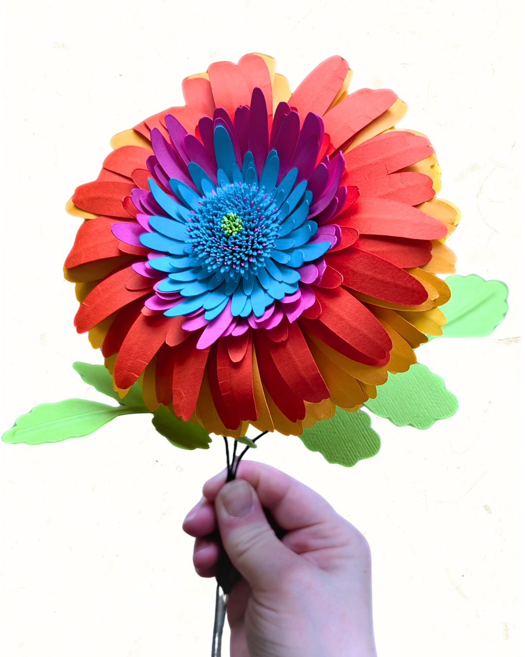 VALENTINE’S 2026_ACCOMPLICE-WEB4.png