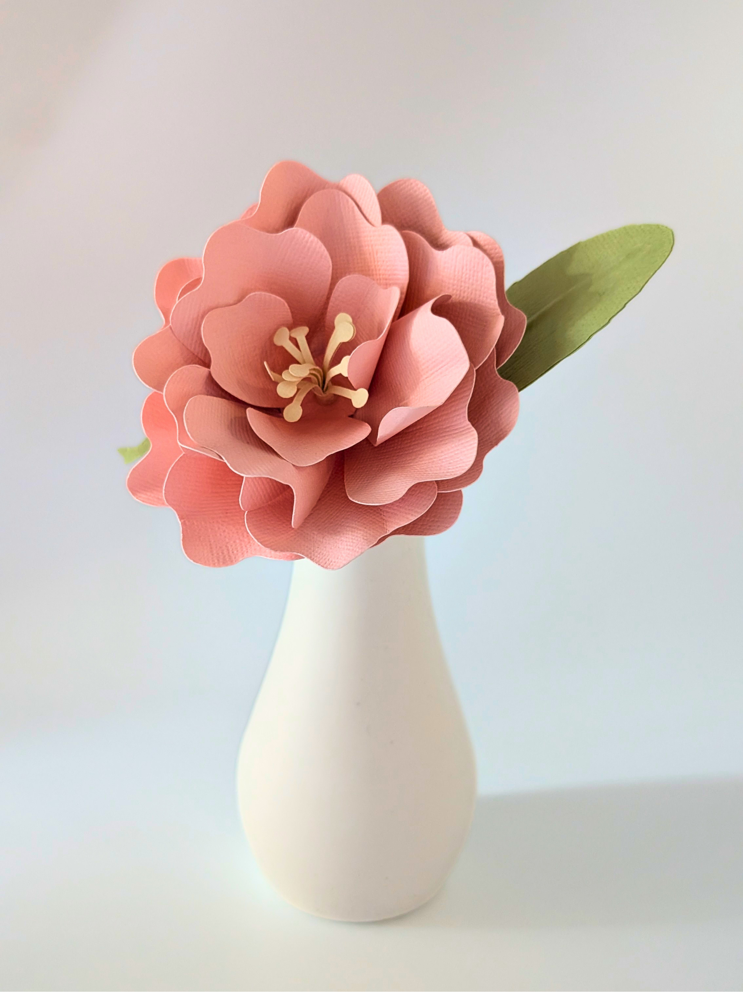 tppc-pop-ruffled-rose-sherbert-pink-1.png
