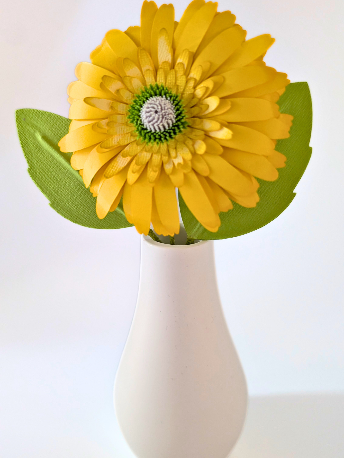 tppc-pop-gerbera-lemon-grove-6.png