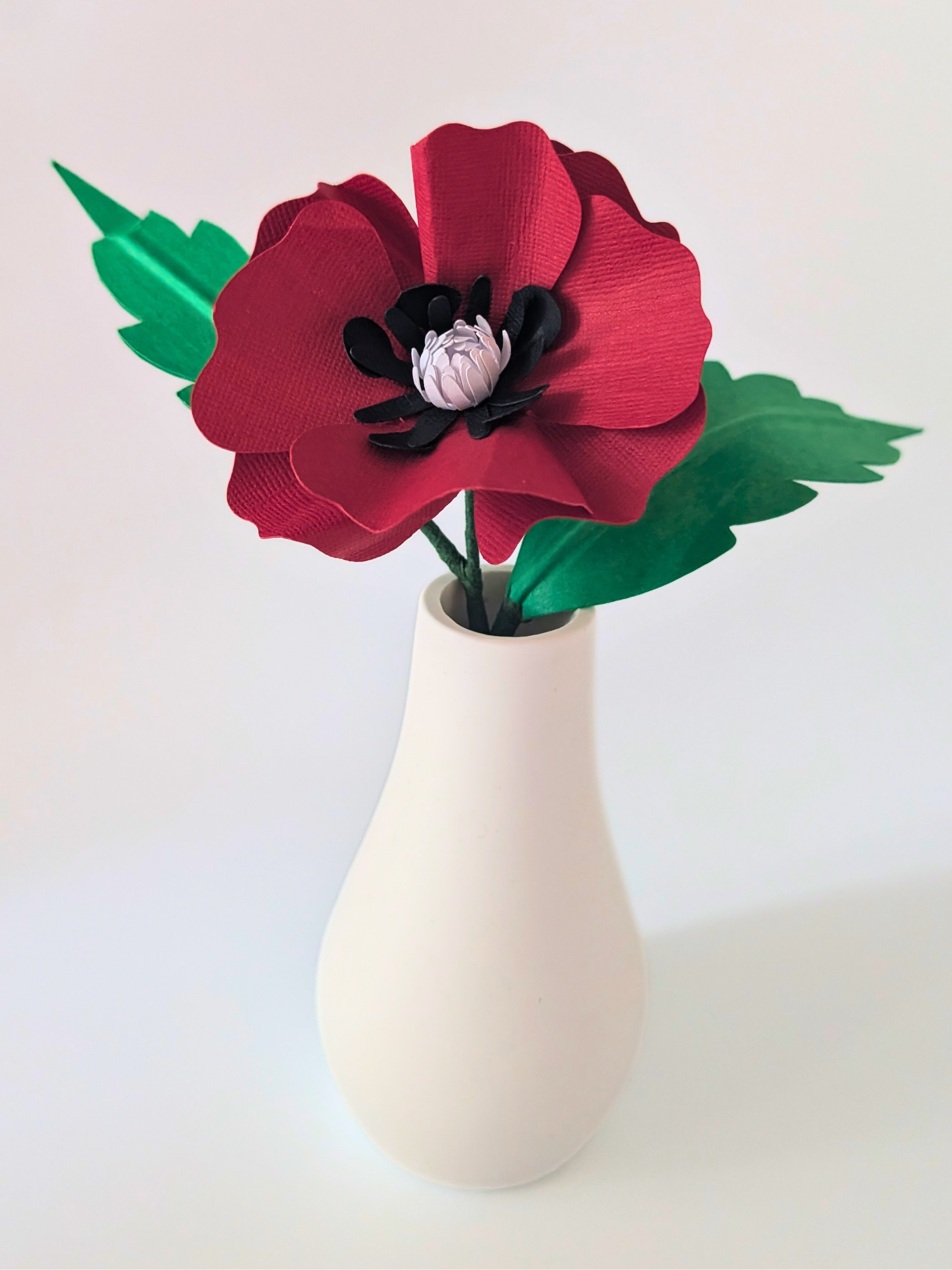 tppc-pop-oriental-poppy-velvet-cameo-1.png