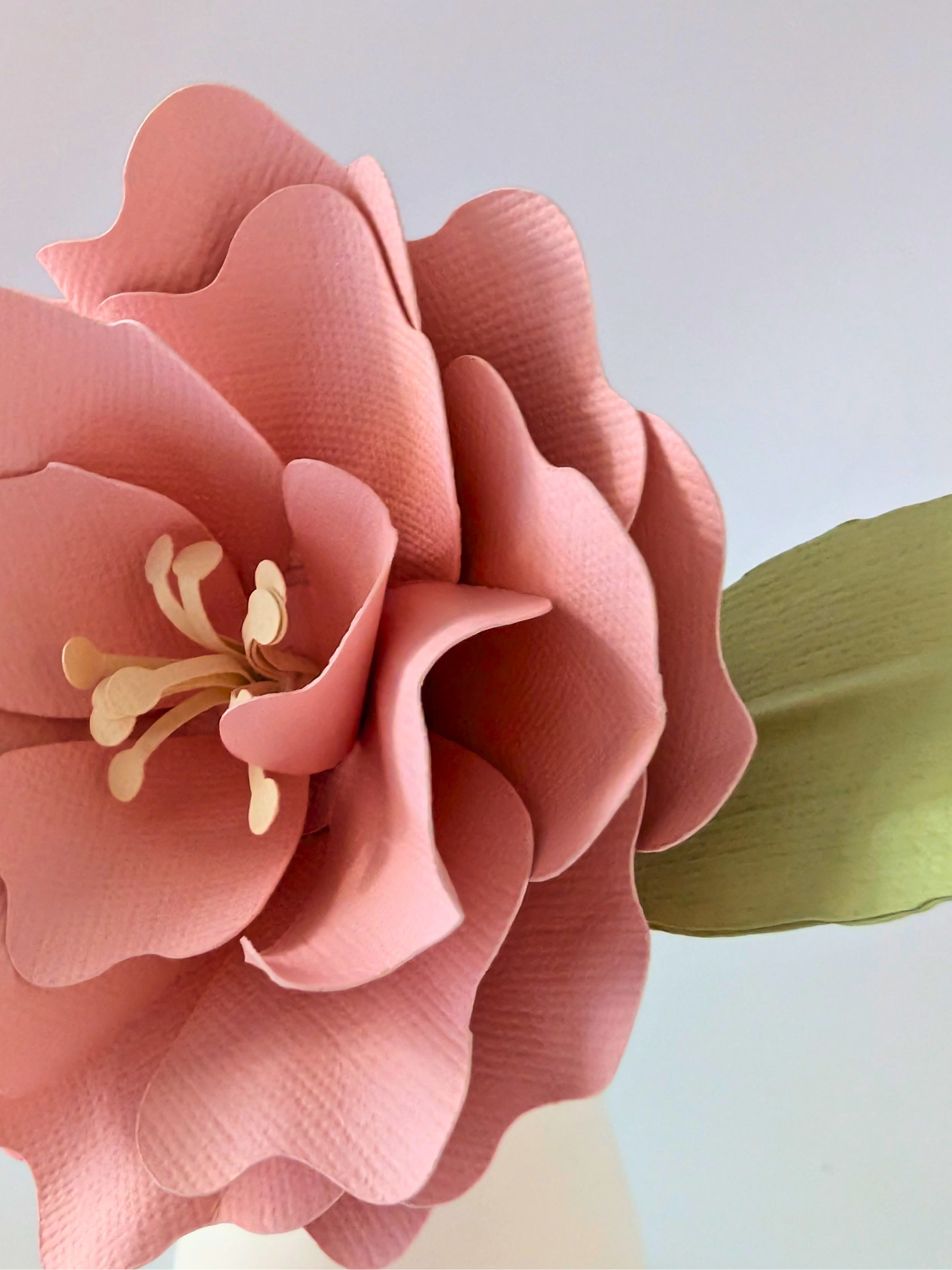 tppc-pop-ruffled-rose-sherbert-pink-2.png