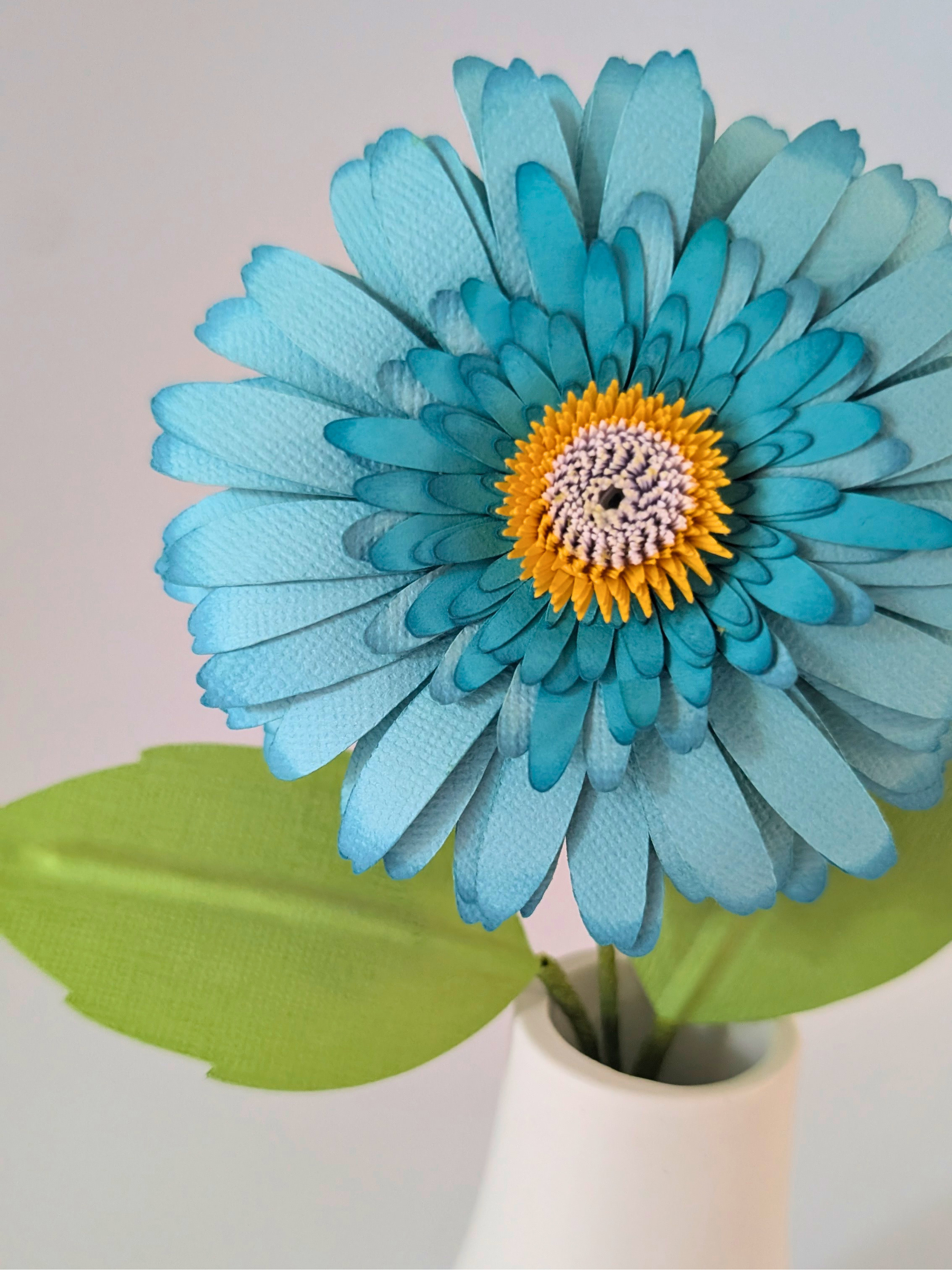 tppc-pop-gerbera-blue-lemonade-2.png