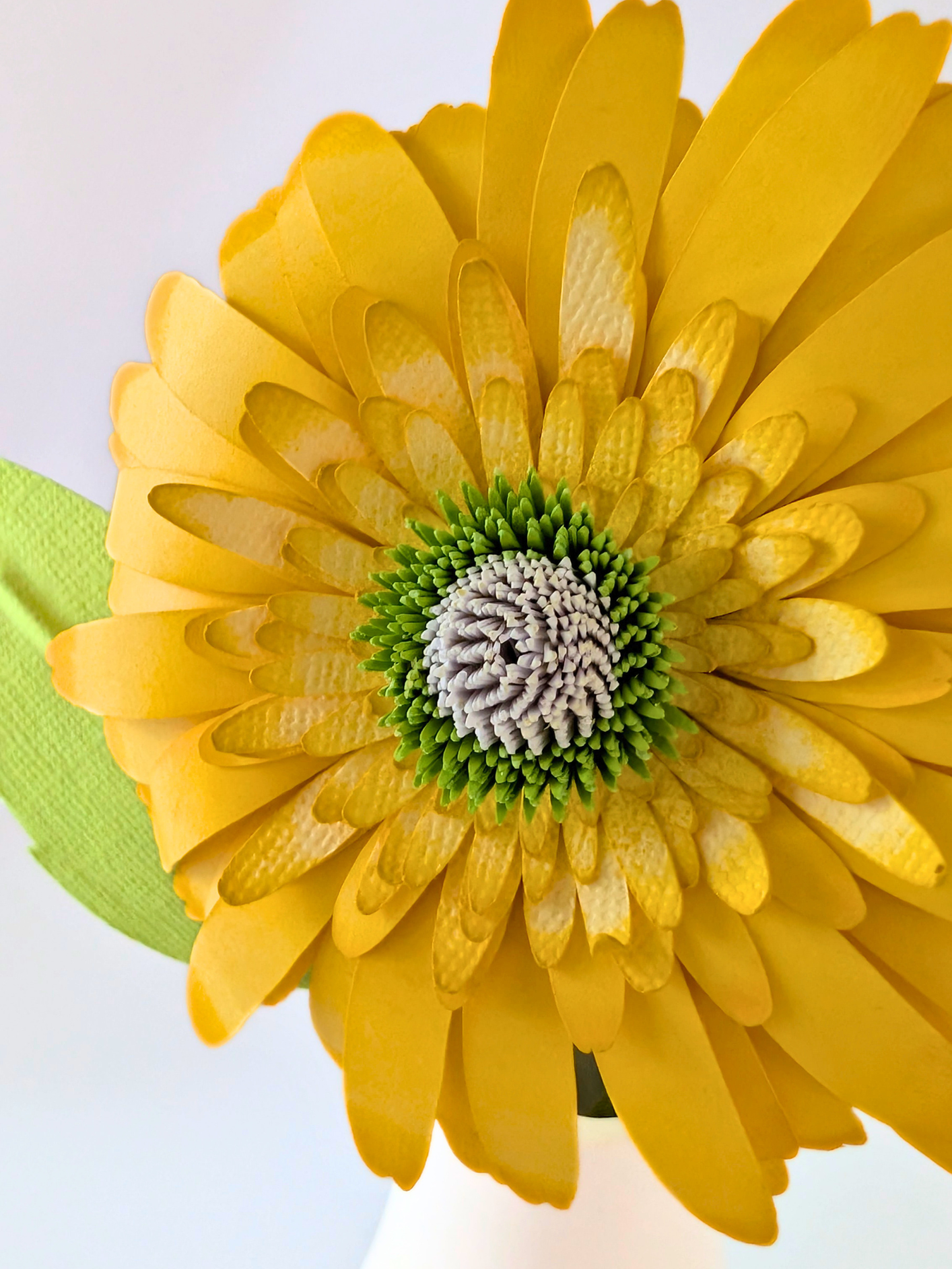 tppc-pop-gerbera-lemon-grove-5.png