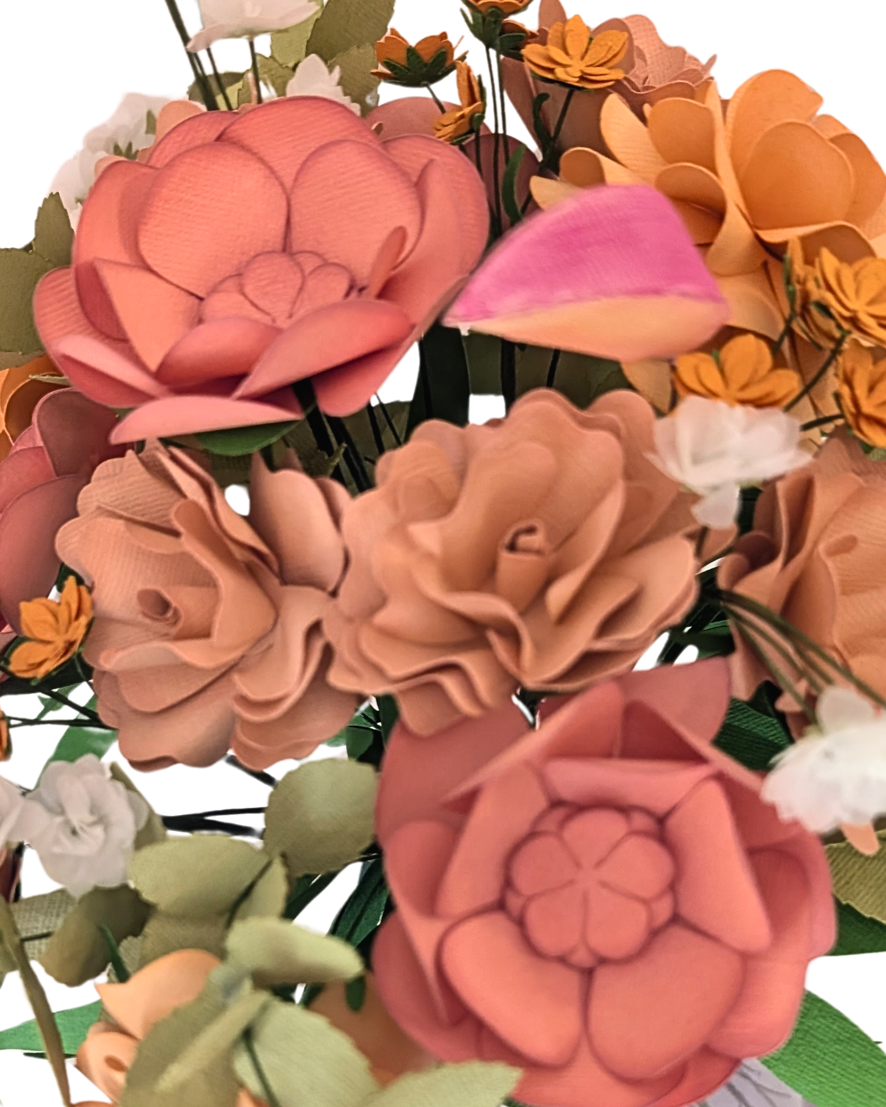 Peach Please_Close up 4_5_3.png