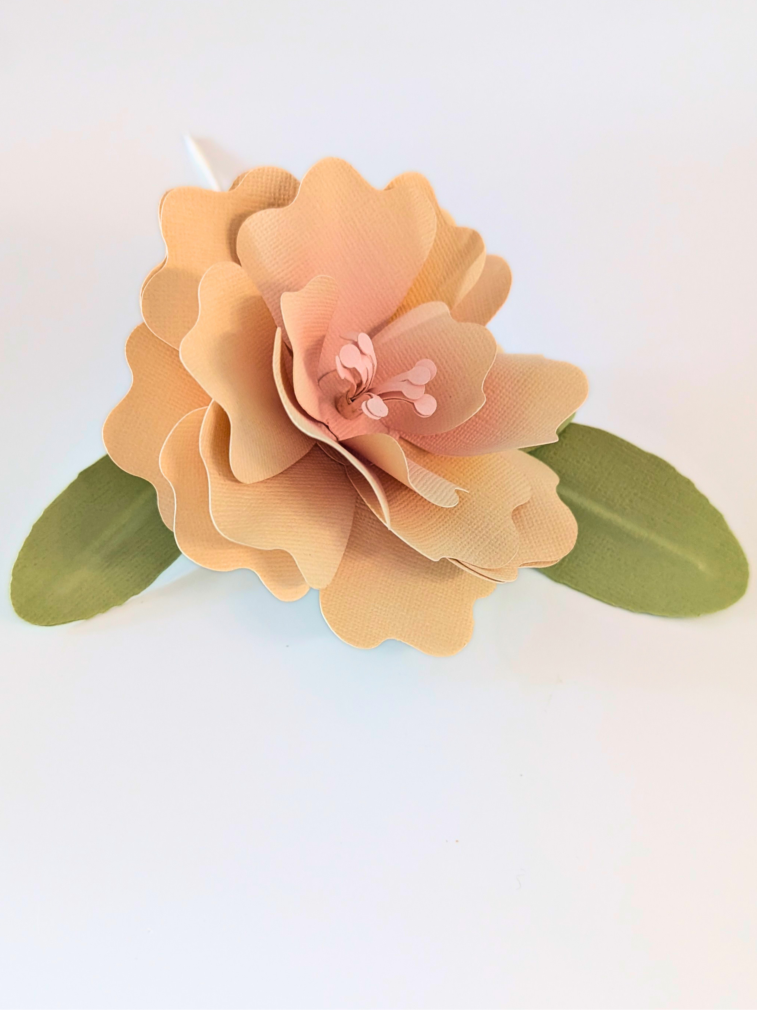 tppc-pop-ruffled-rose-vanilla-blush-4.png