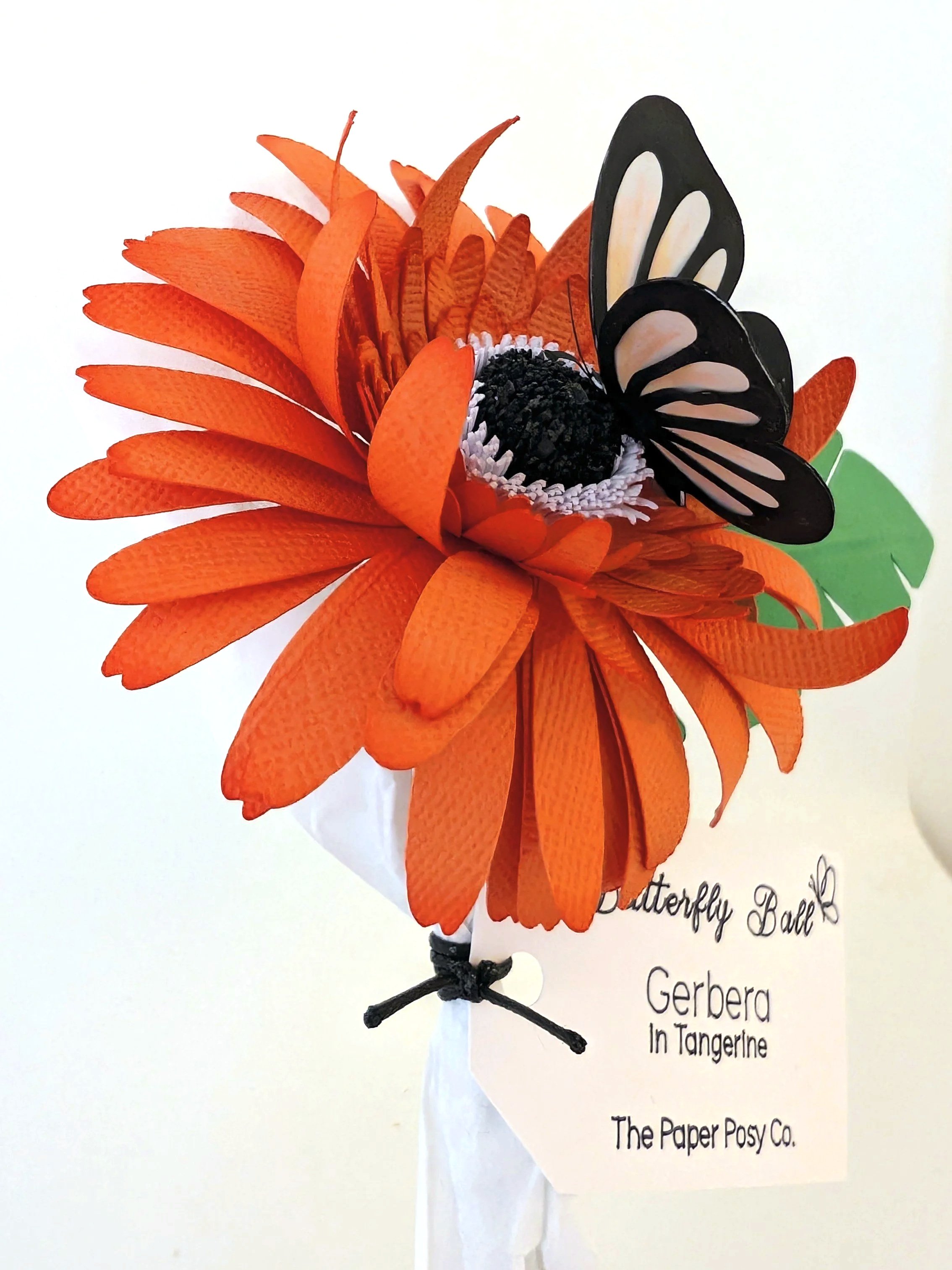 PXL_20260914_002911638%7E2.jpg