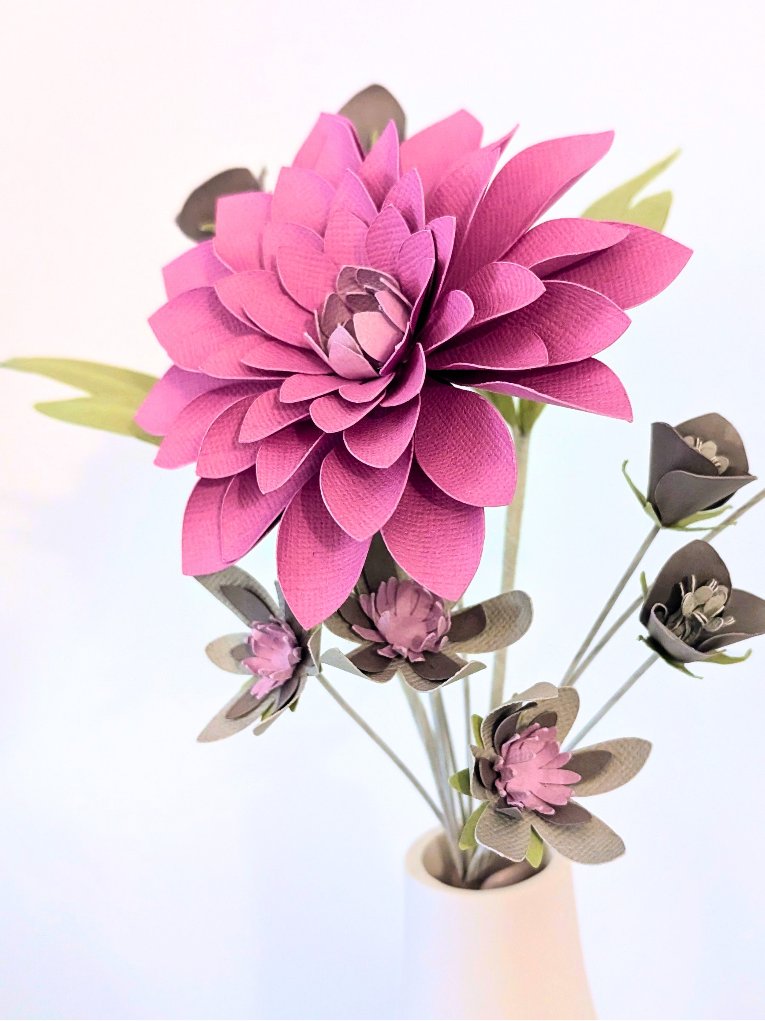 Dahlia3.png