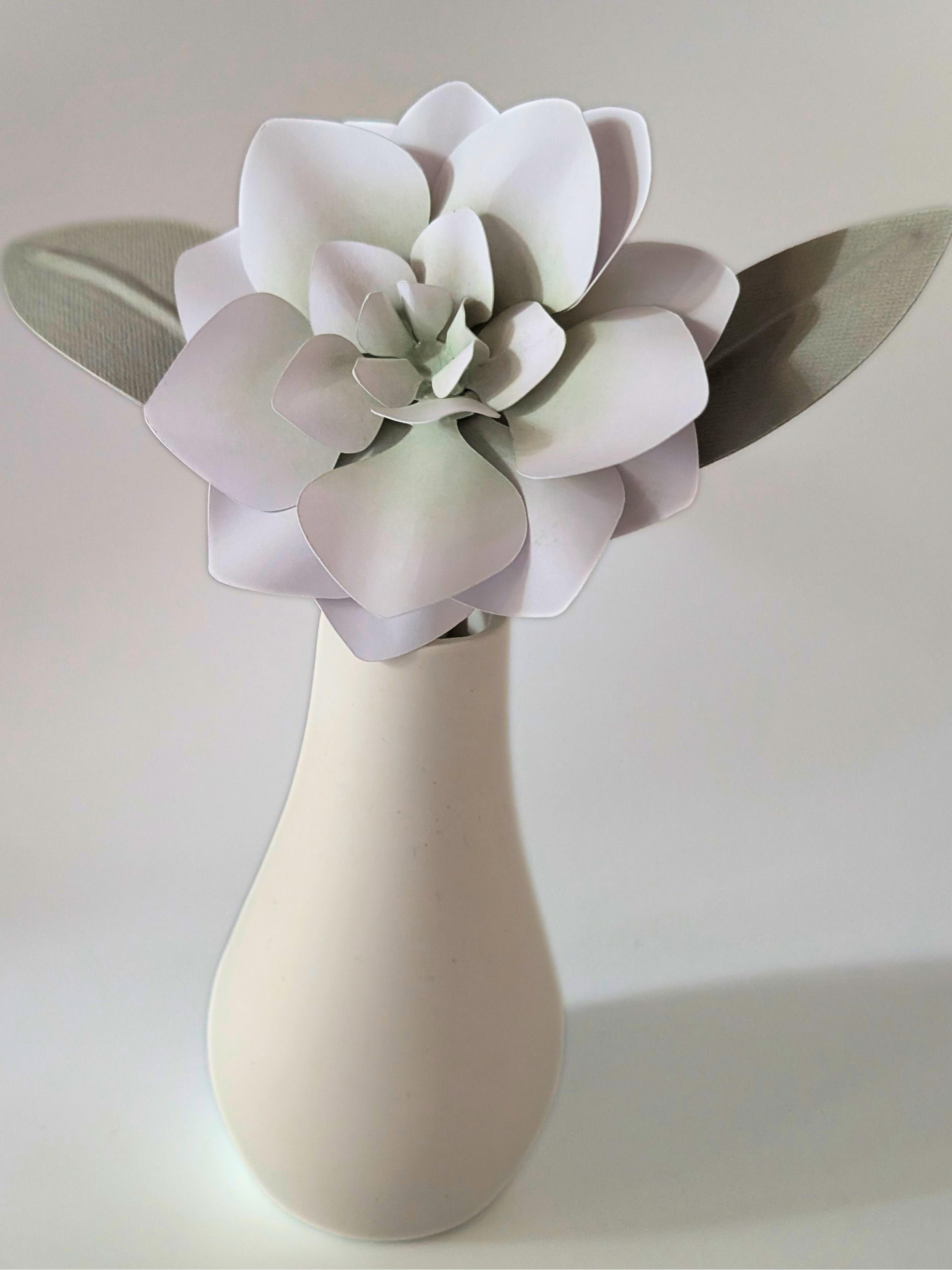 tppc-pop-gardenia-celadon-mist-4.png