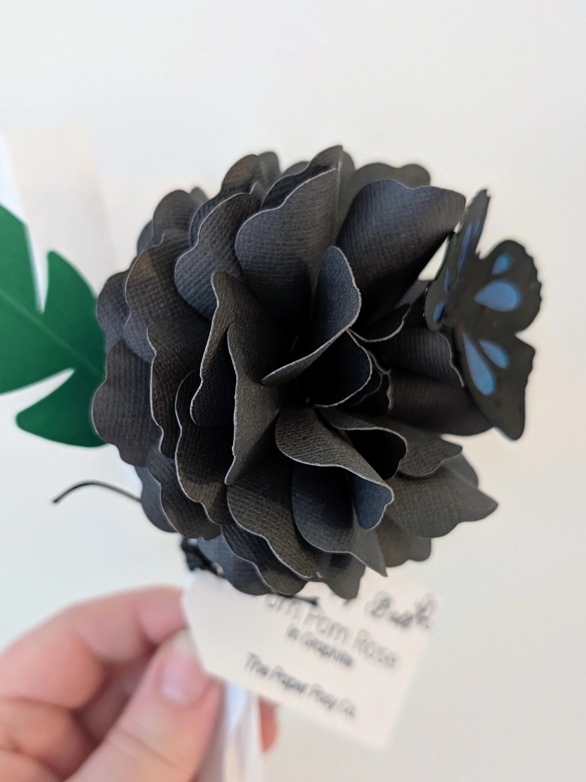 Pom Pom Rose Posy Pop - Butterfly Ball Limited Edition 2026