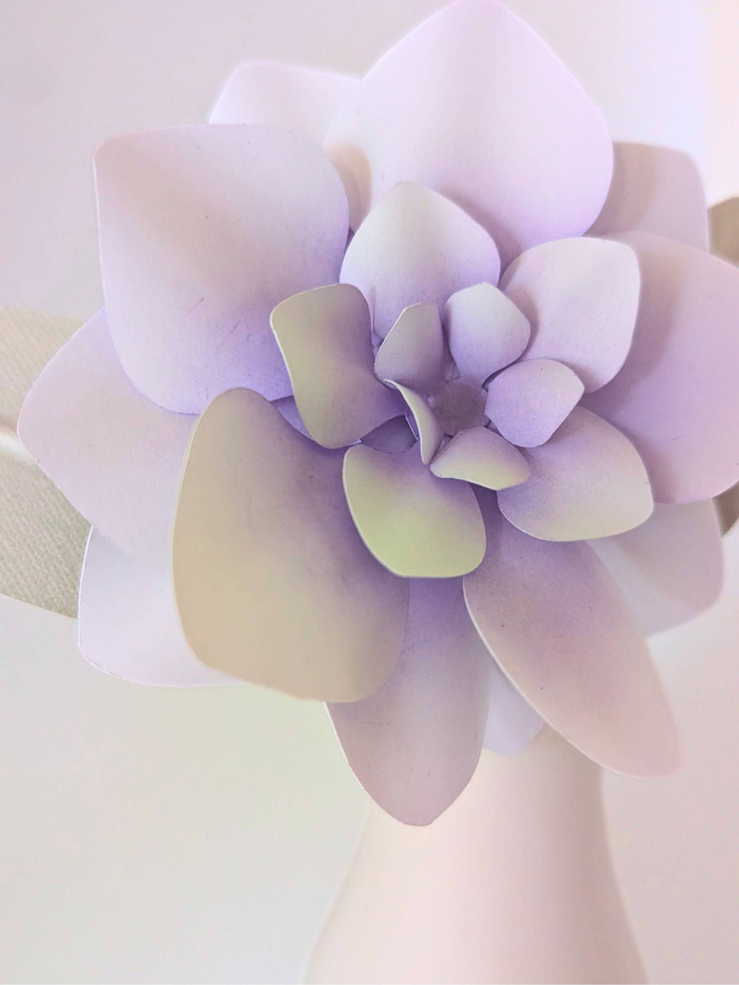 tppc-pop-gardenia-moon-mist-2.png